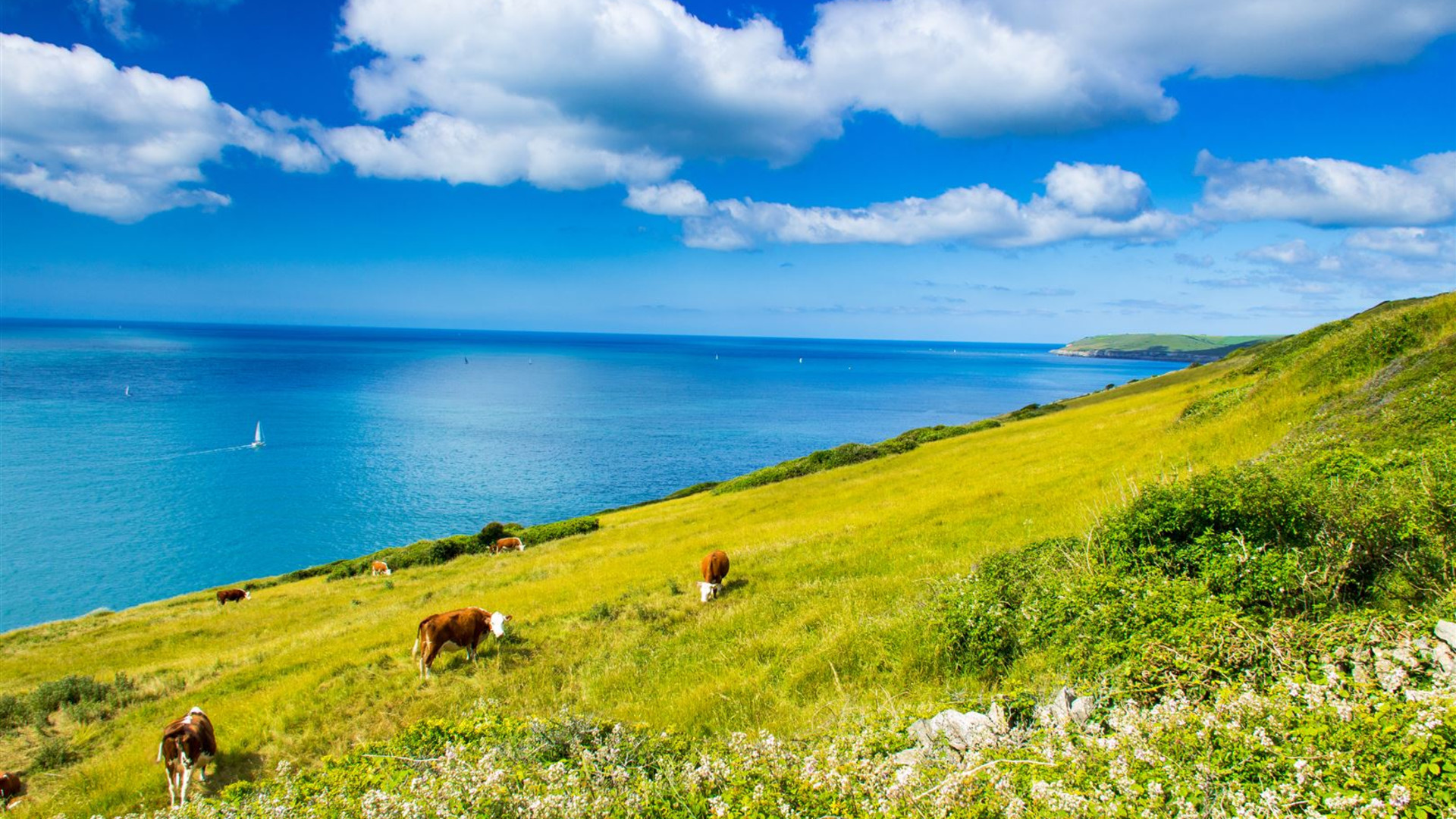 Jewels of the Jurassic Coast Walk