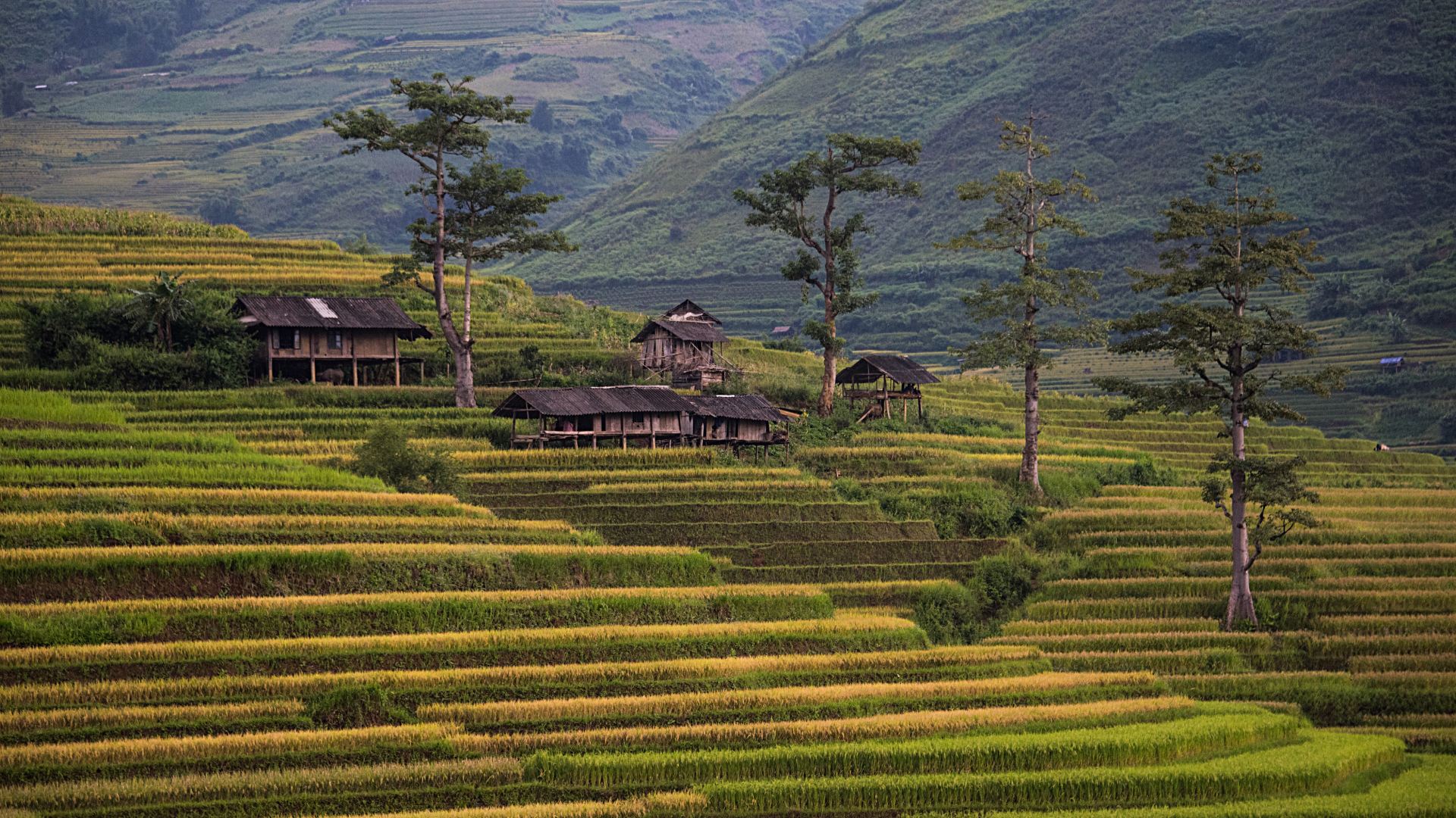 Klassisches Vietnam: Sapa bis Ho Chi Minh