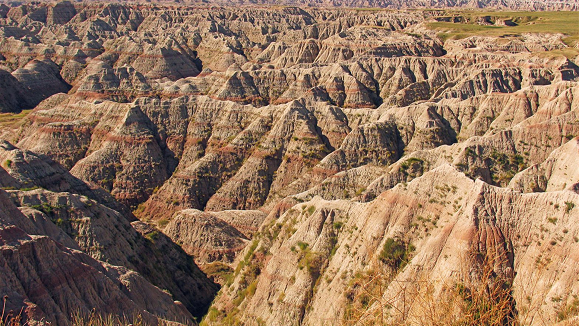 Spotlight on South Dakota