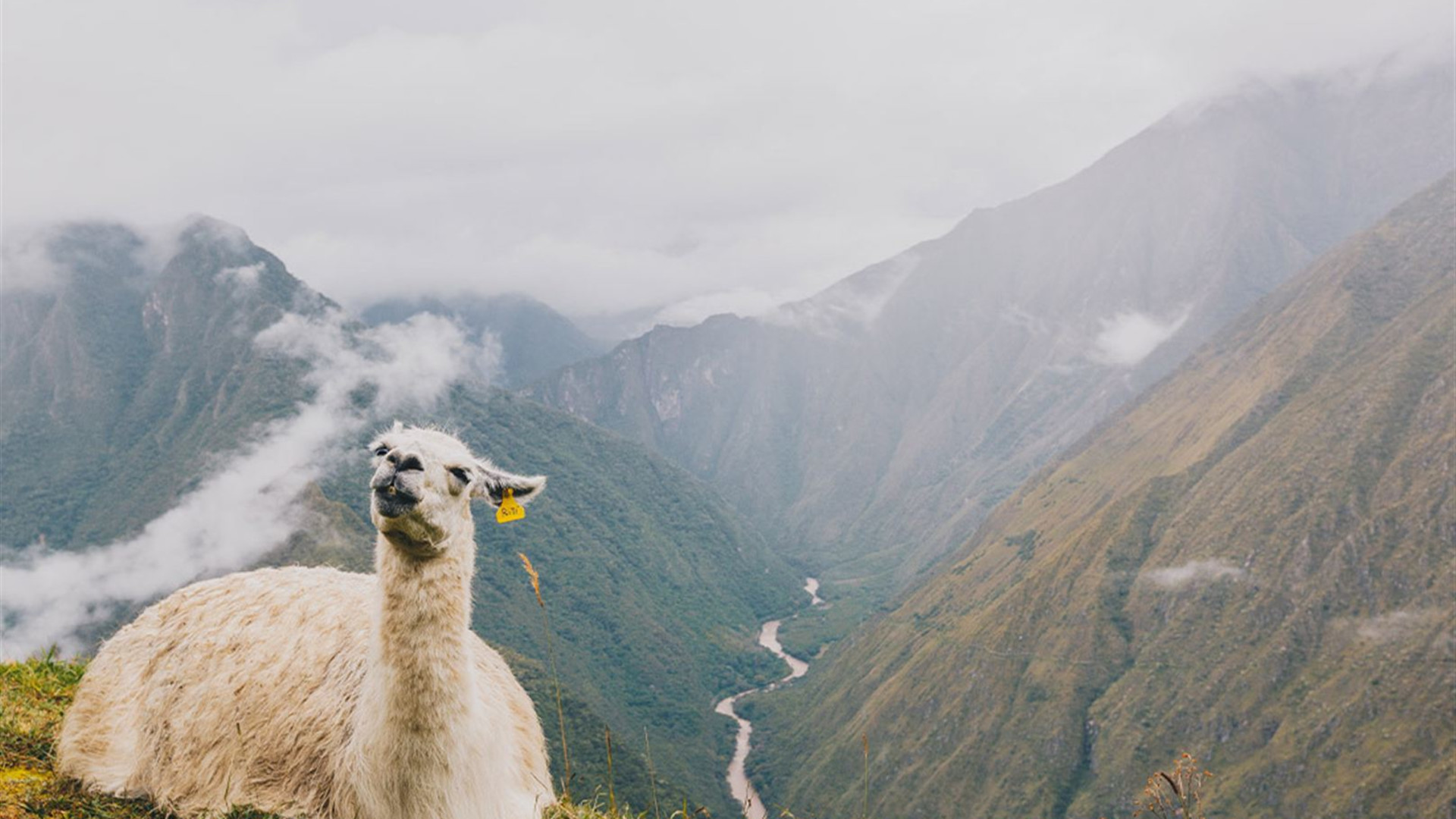 Peru: Women's Expedition