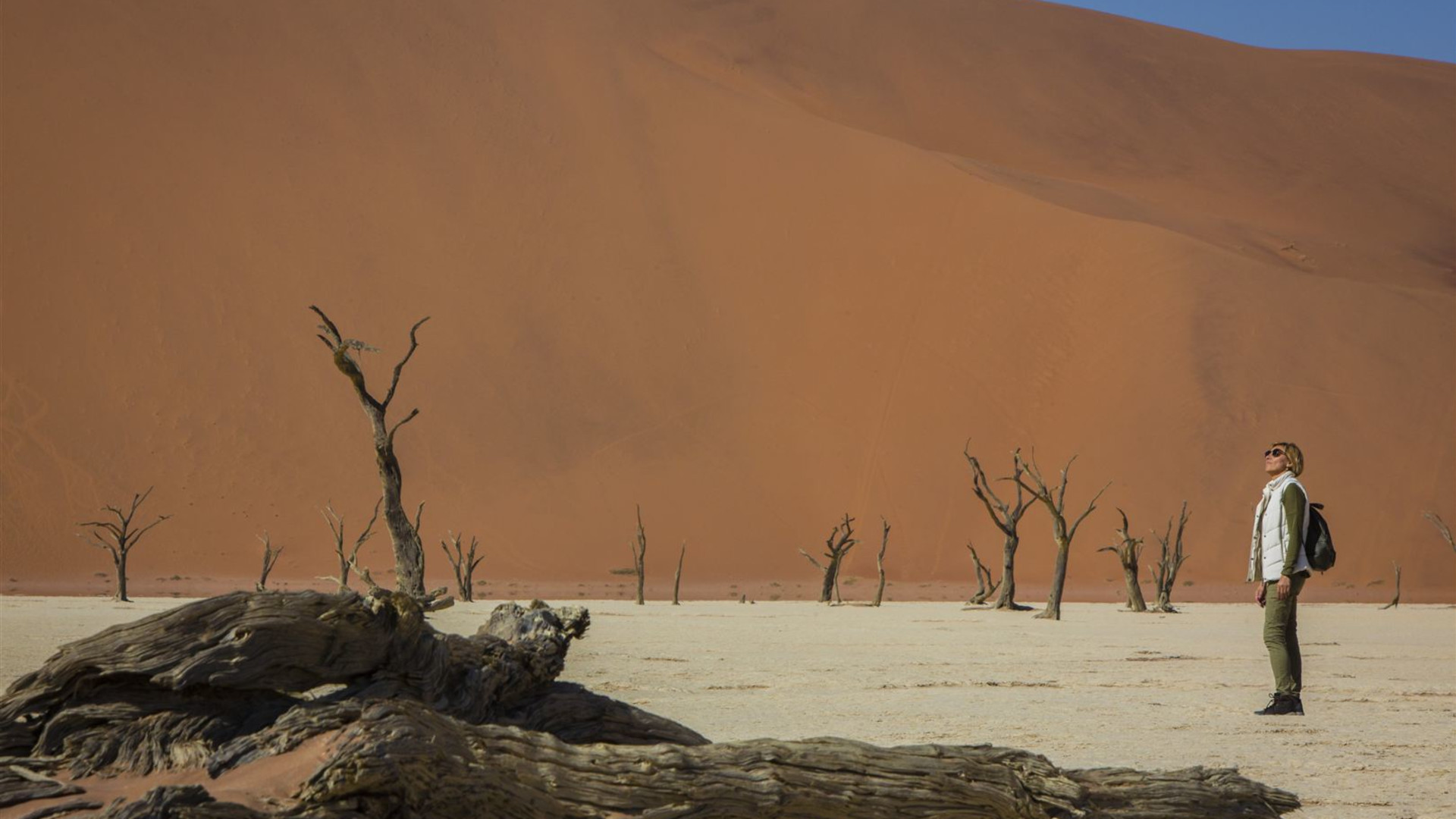 Southern Africa Southbound: Dunes, Deltas & Falls