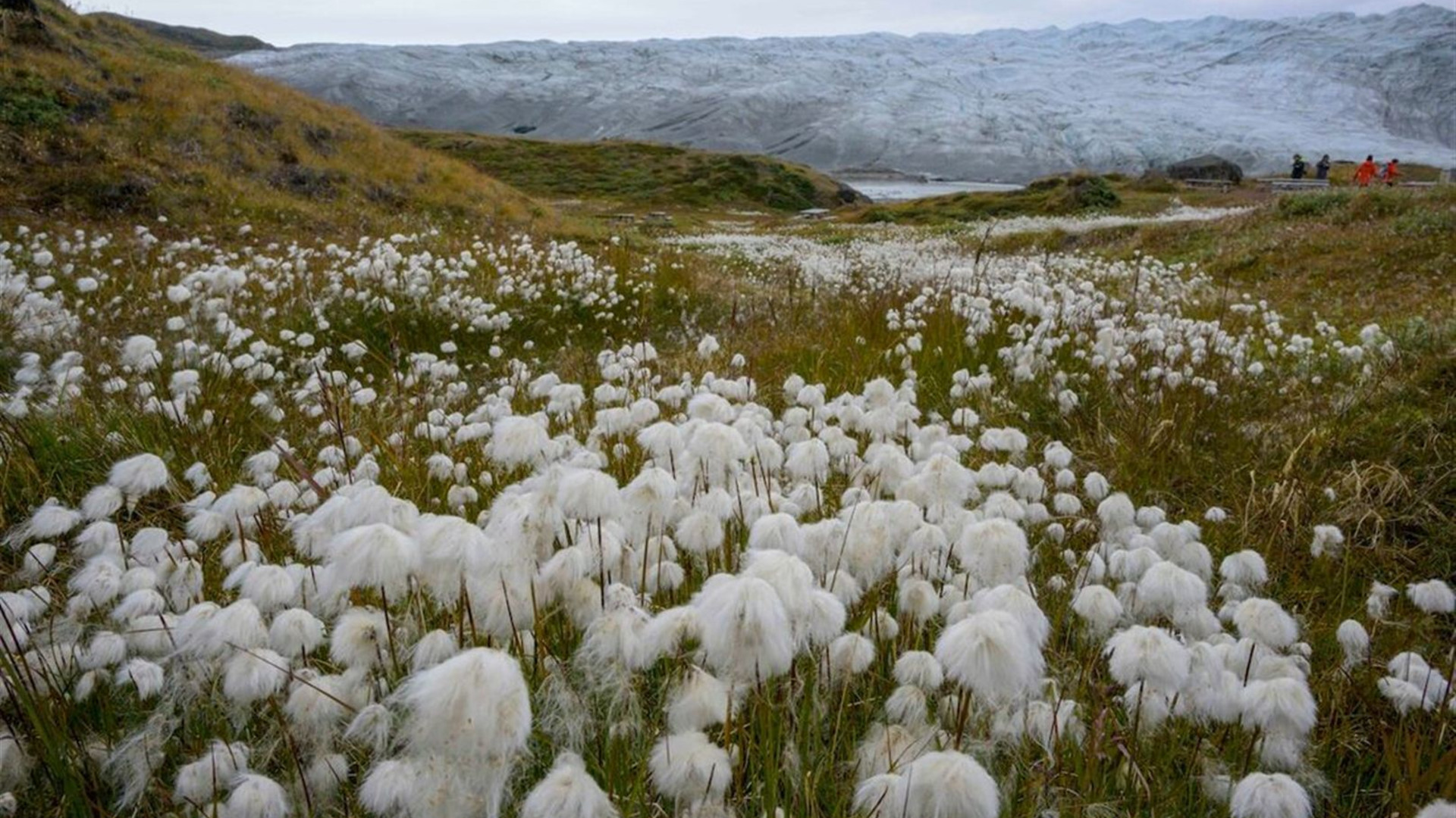 Greenland: Disko Bay & Ilulissat (Ocean Victory)