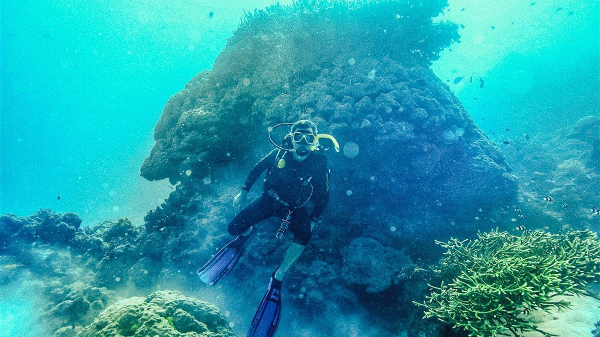 Great Barrier Reef Explorer