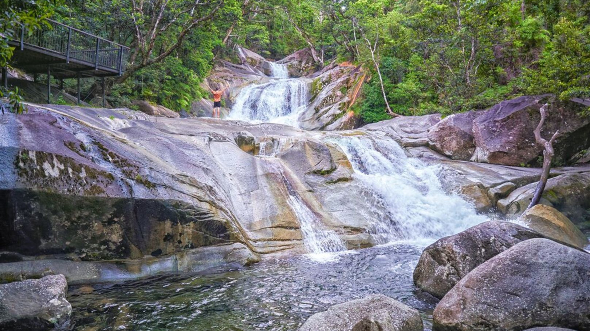 Essential Brisbane to Cairns