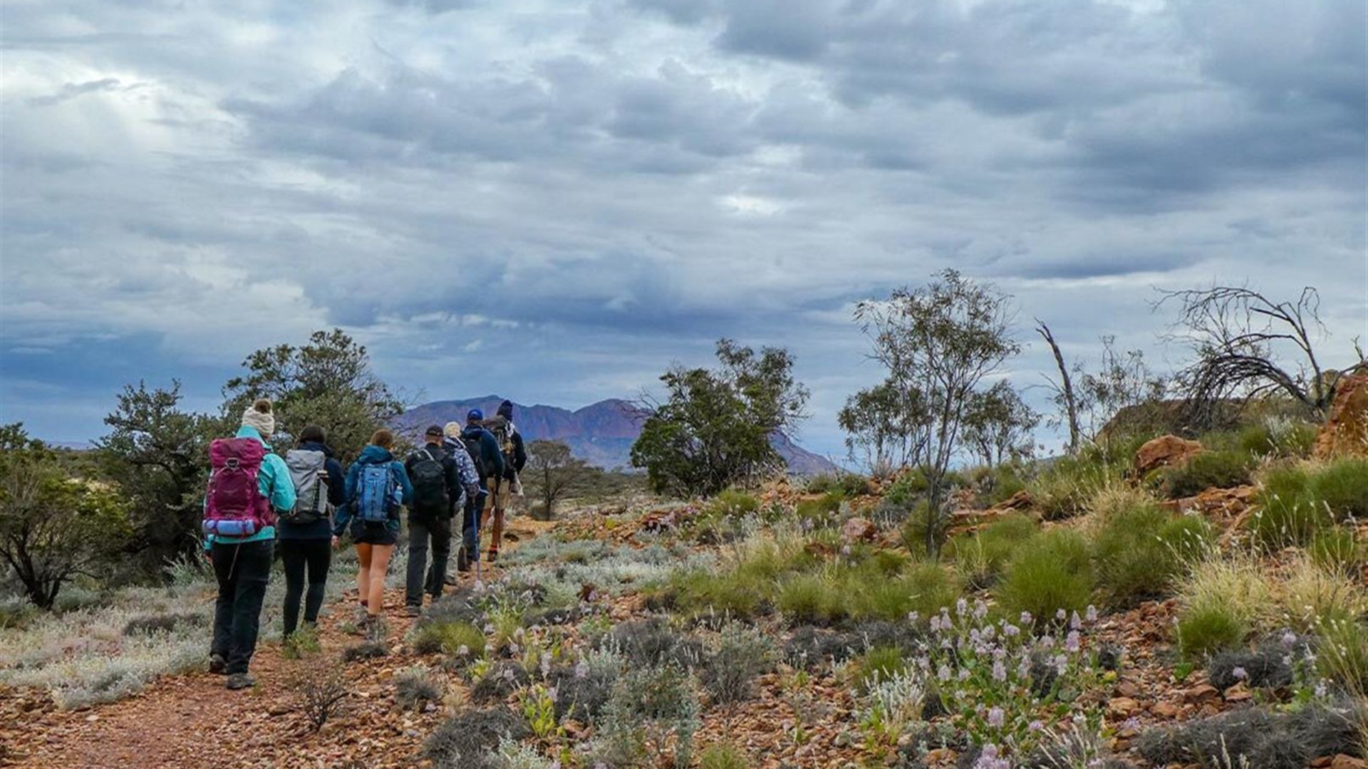 Hike the Larapinta Trail