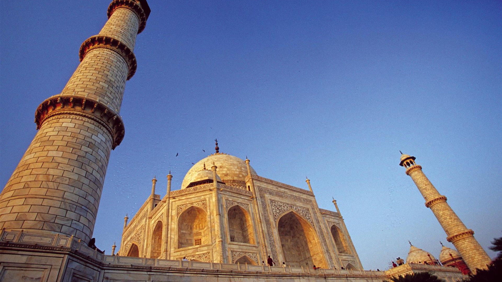 Premium India in Depth