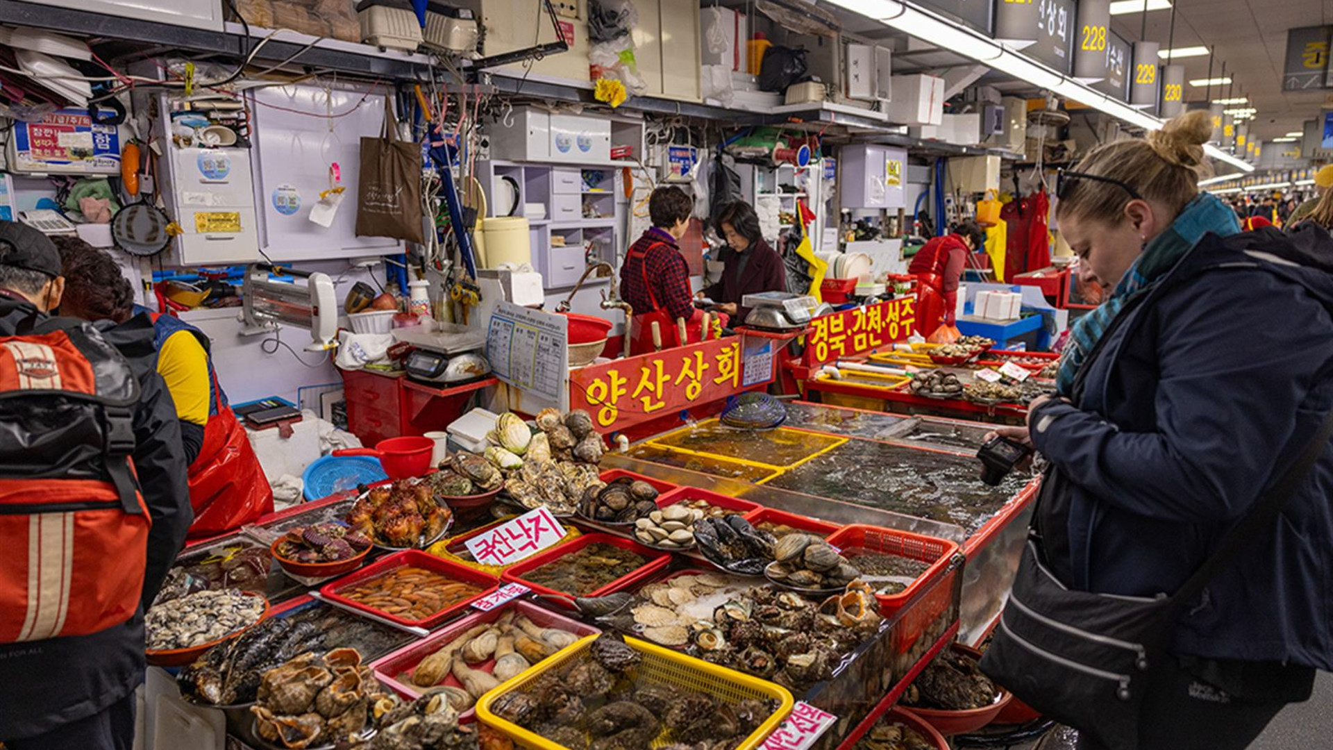 South Korea Real Food Adventure