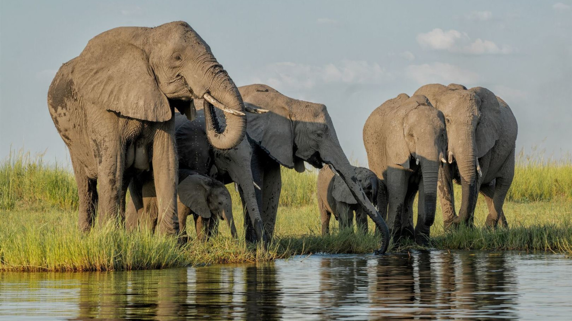 Premium Botswana & Namibia