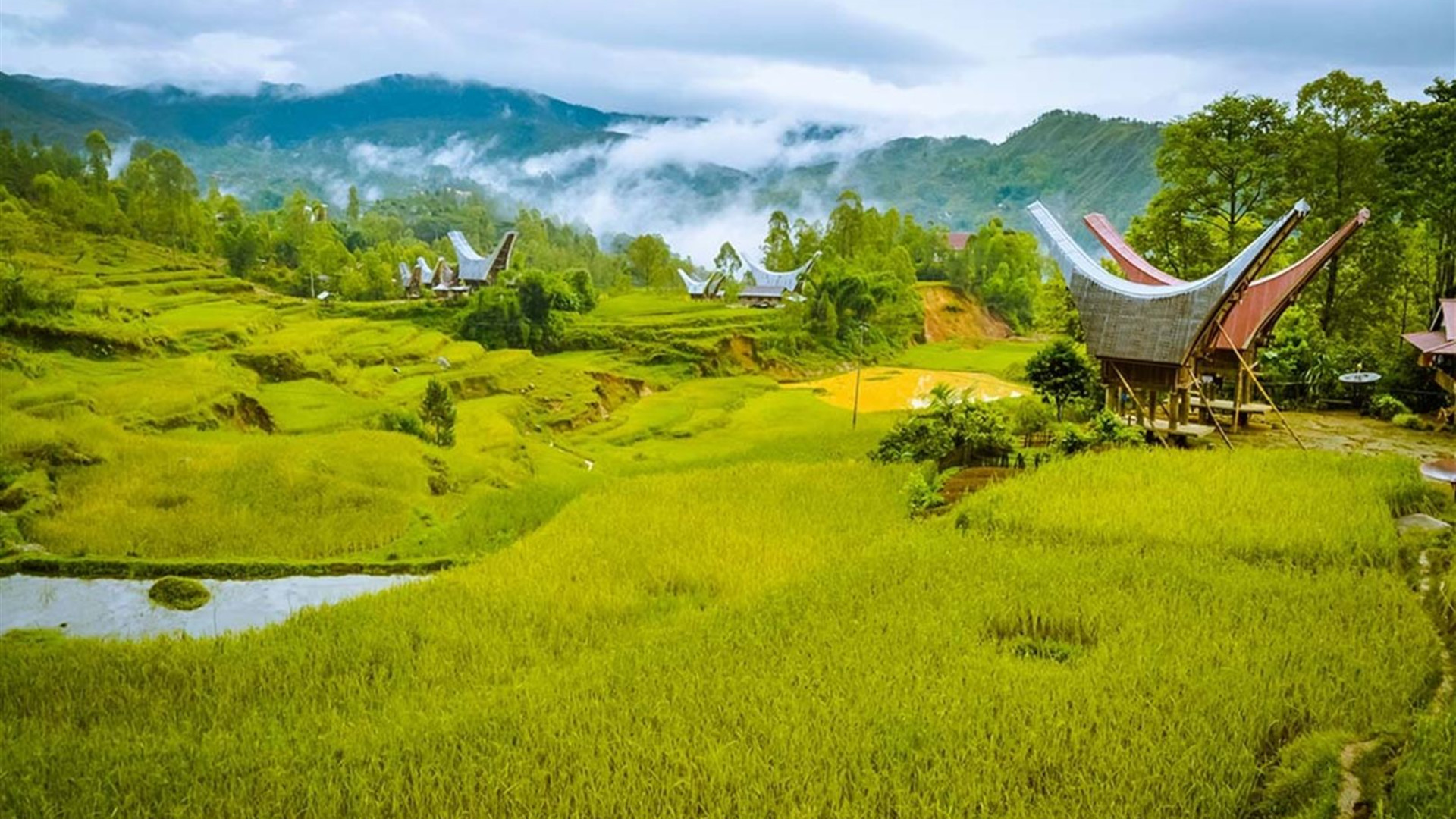 Indonesia Expedition: Sulawesi & Toraja Tribes