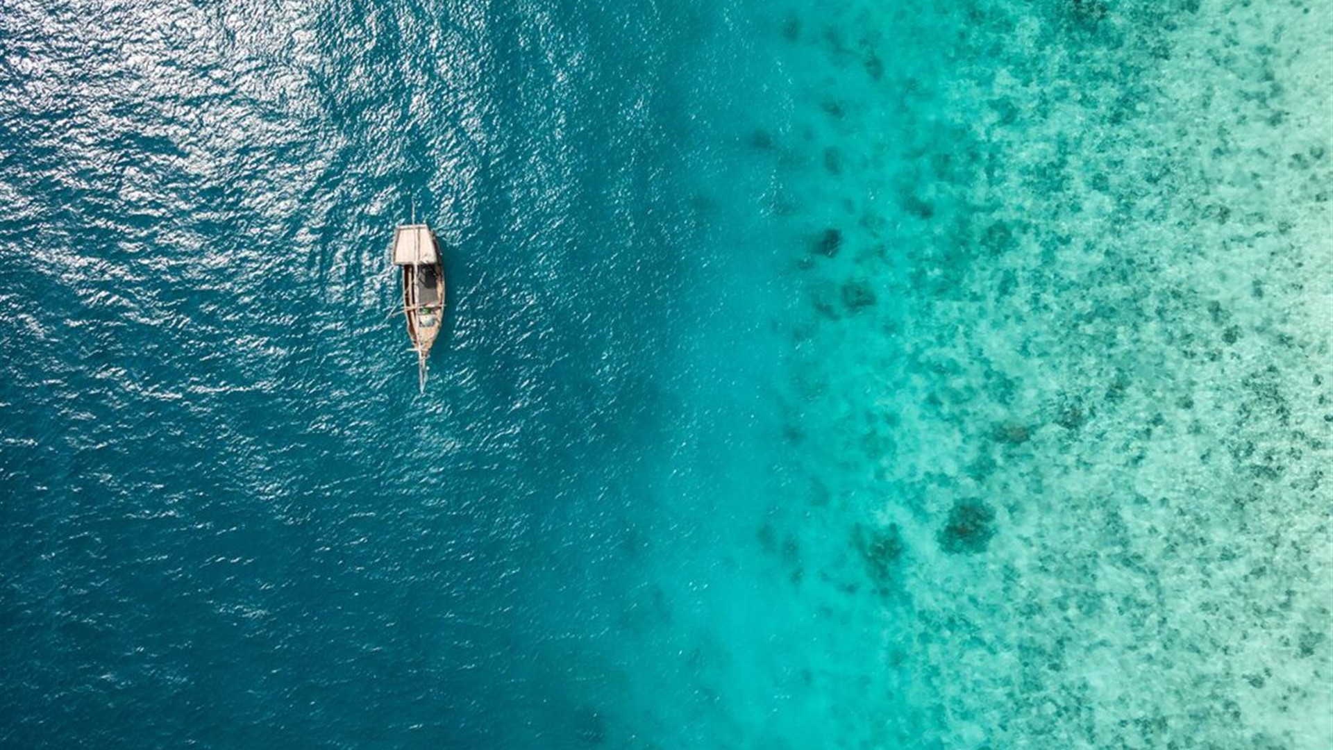 East Africa Safari & Coast