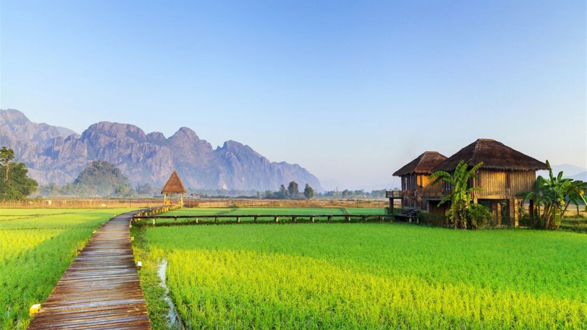 Thailand & Laos Adventure