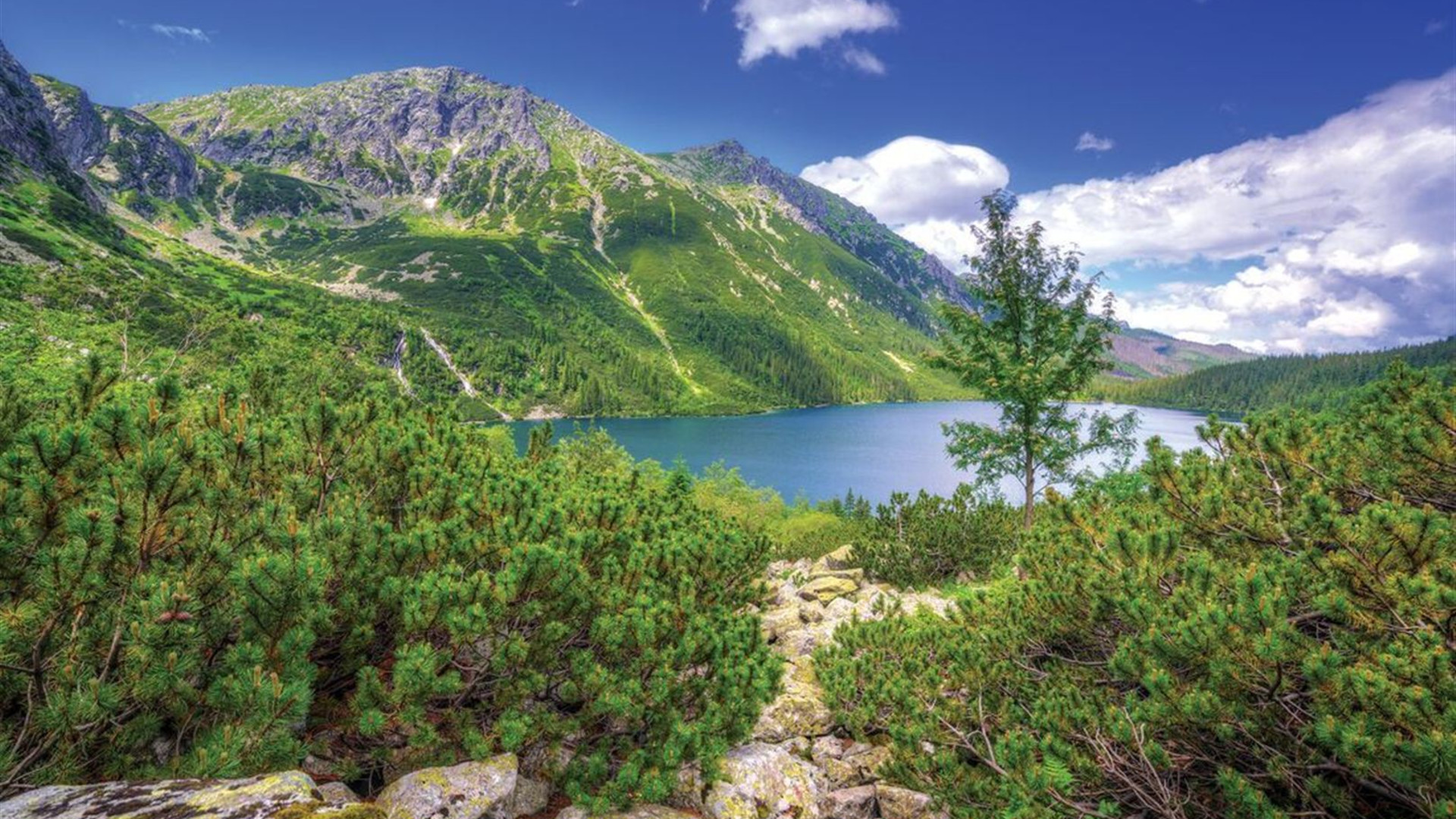 Vienna to Dubrovnik