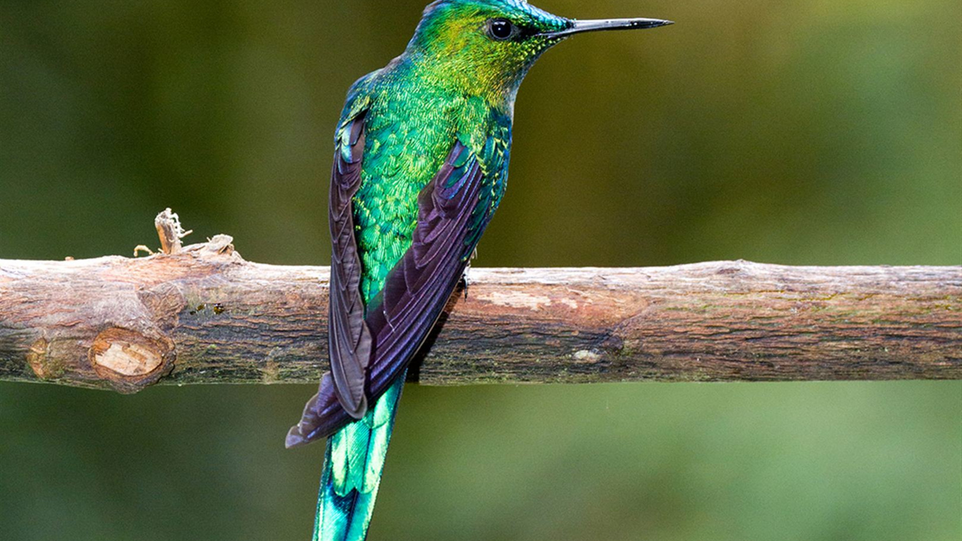 Coastal Colombia