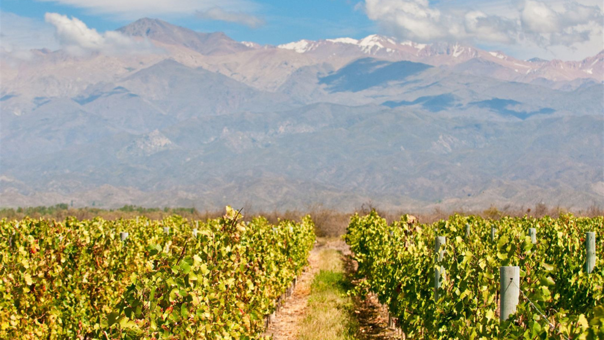 Premium Peru, Chile & Argentina