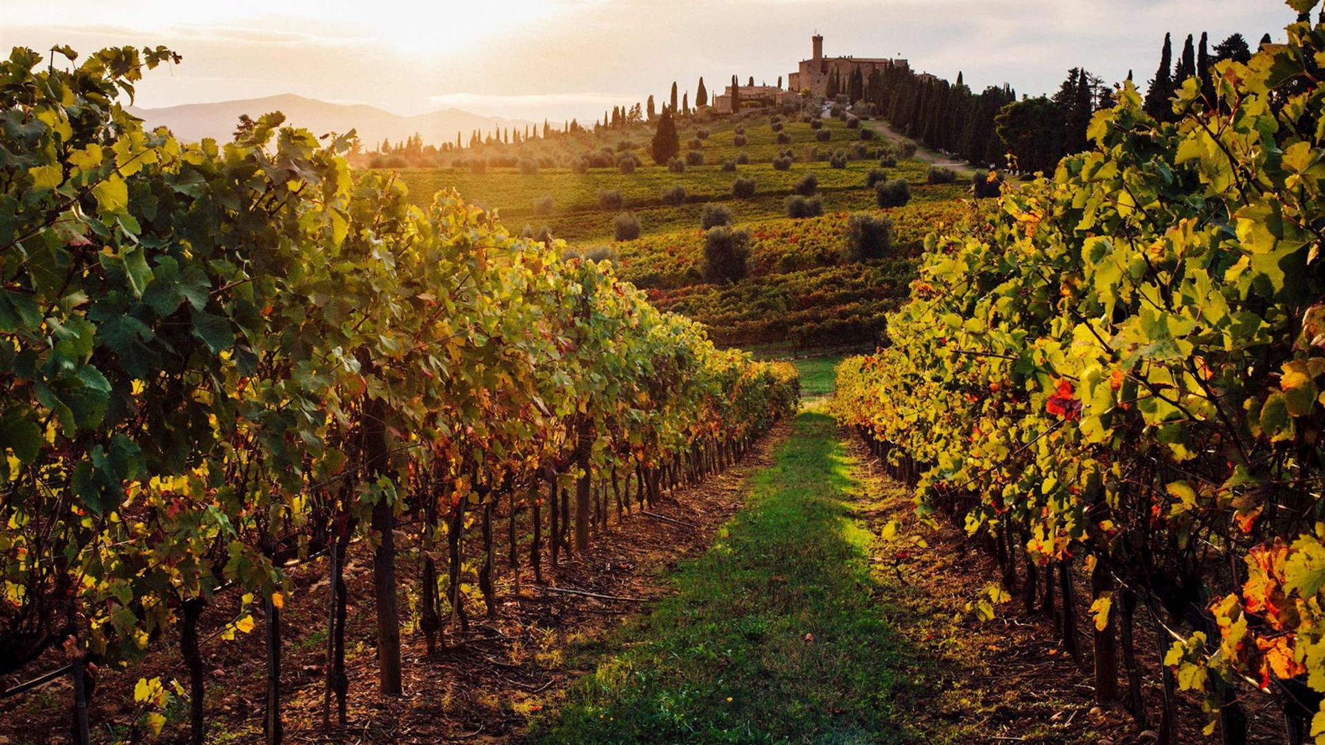 Rome and Tuscan Highlights