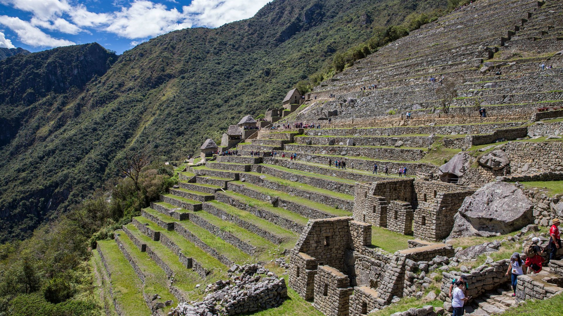Mit dem Zug vom Amazonas zu den Anden mit Machu Picchu