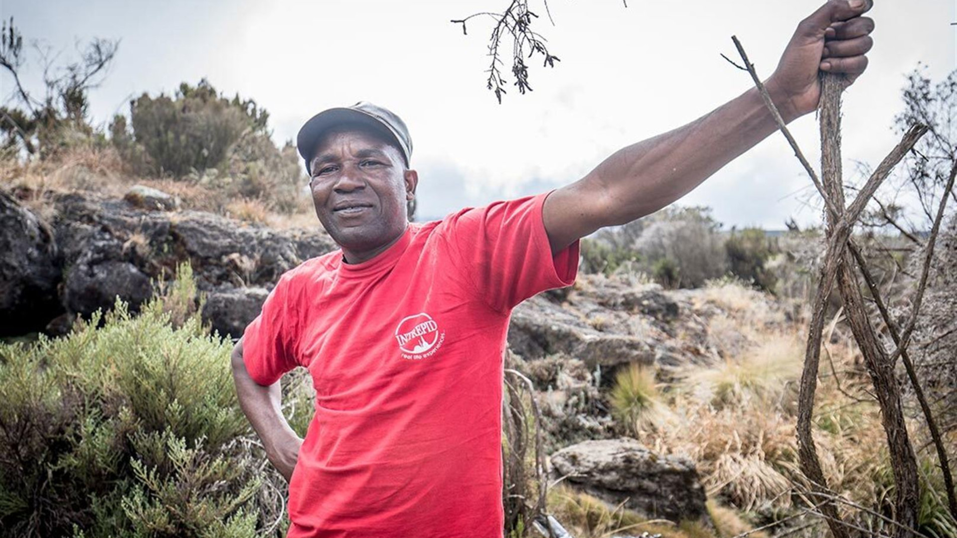 Kilimanjaro: Marangu Route