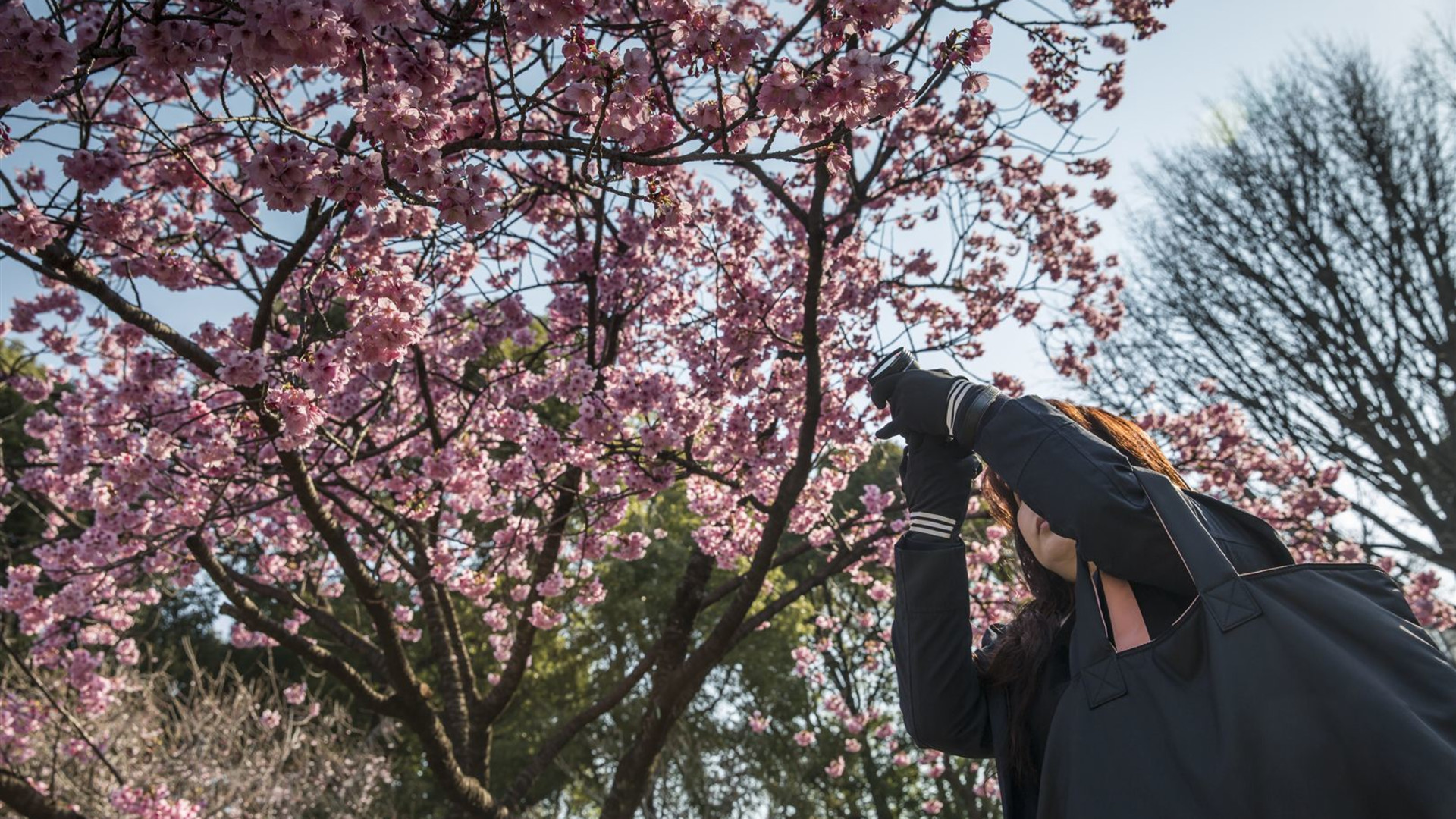 Seoul to Osaka: Beaches & Big Cities