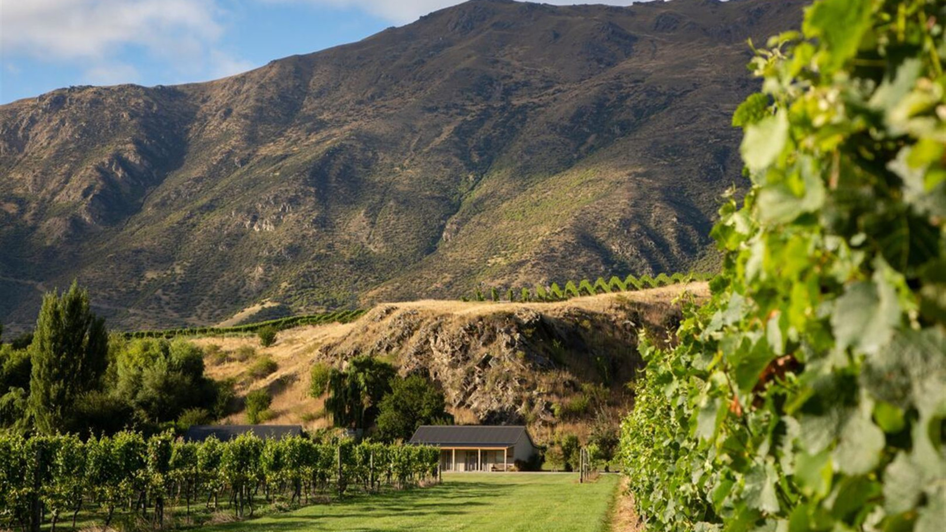 Premium New Zealand South Island