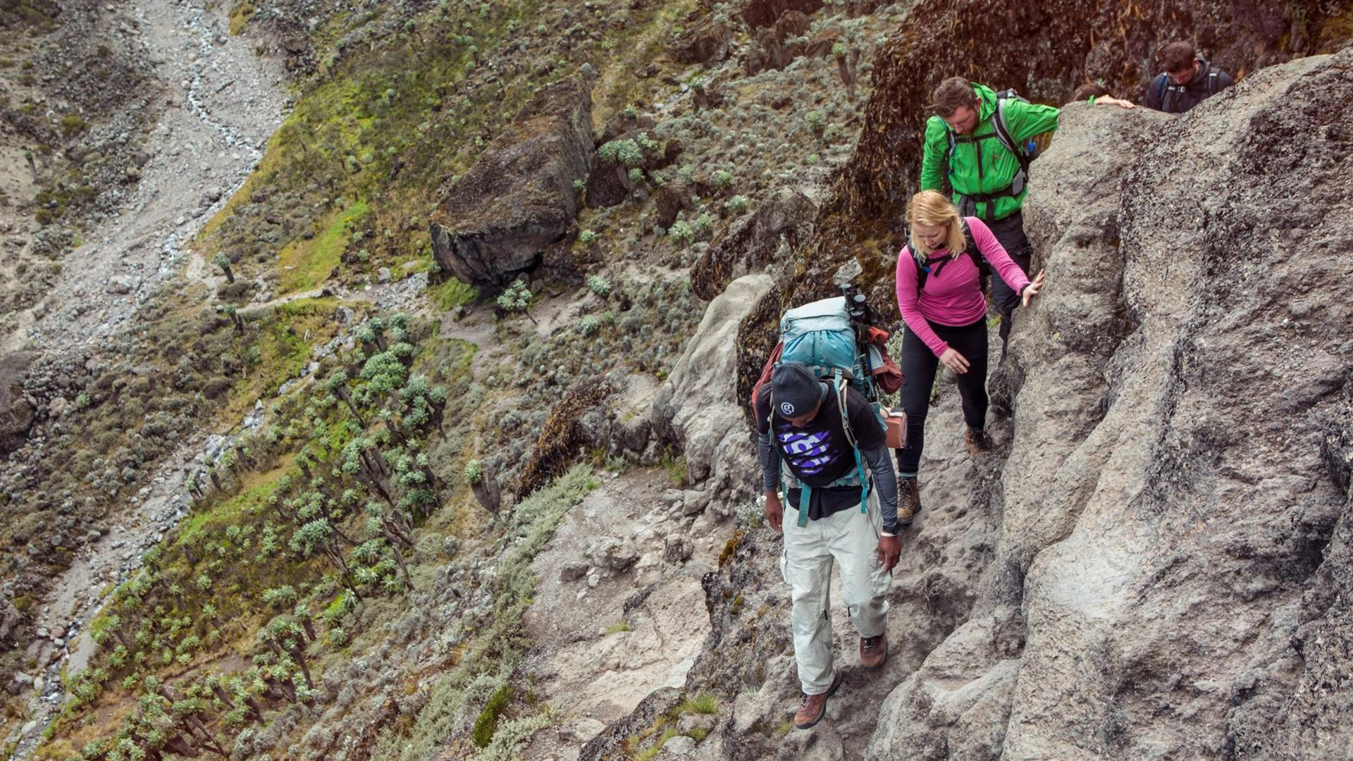 Tanzania: Kilimanjaro's Lemosho Route & Serengeti Safari