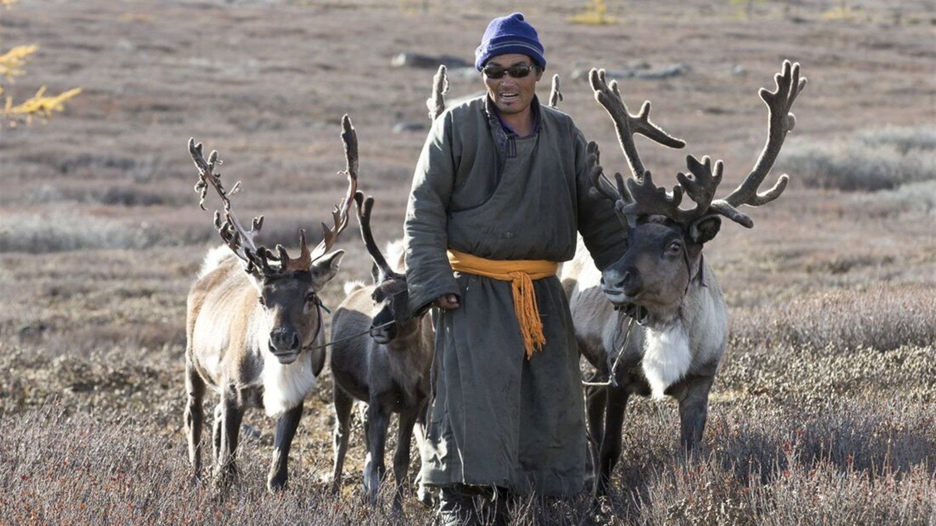 Mongolia Expedition: Reindeer Herders