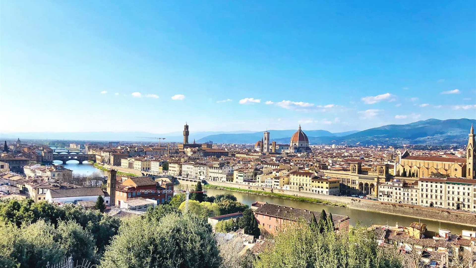 Mediterranean Journey