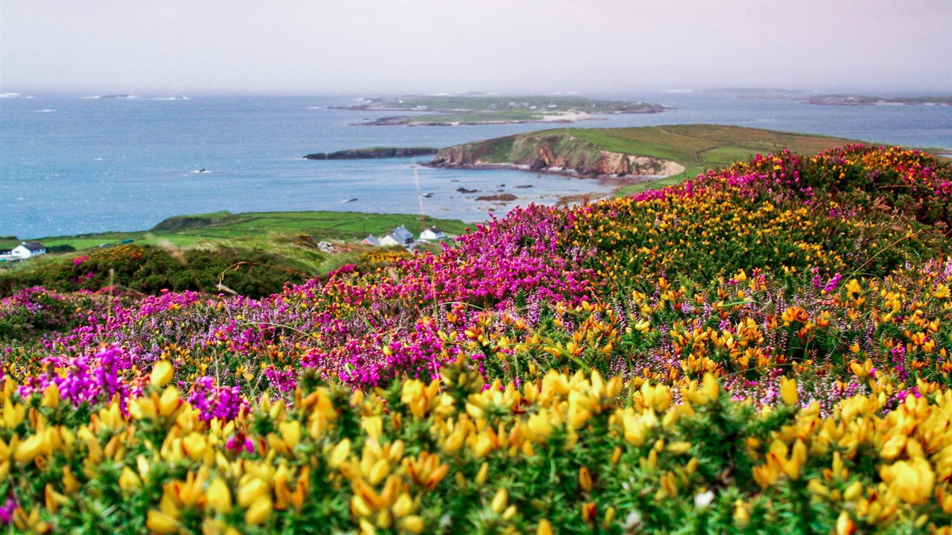 Amazing Ireland - Signature