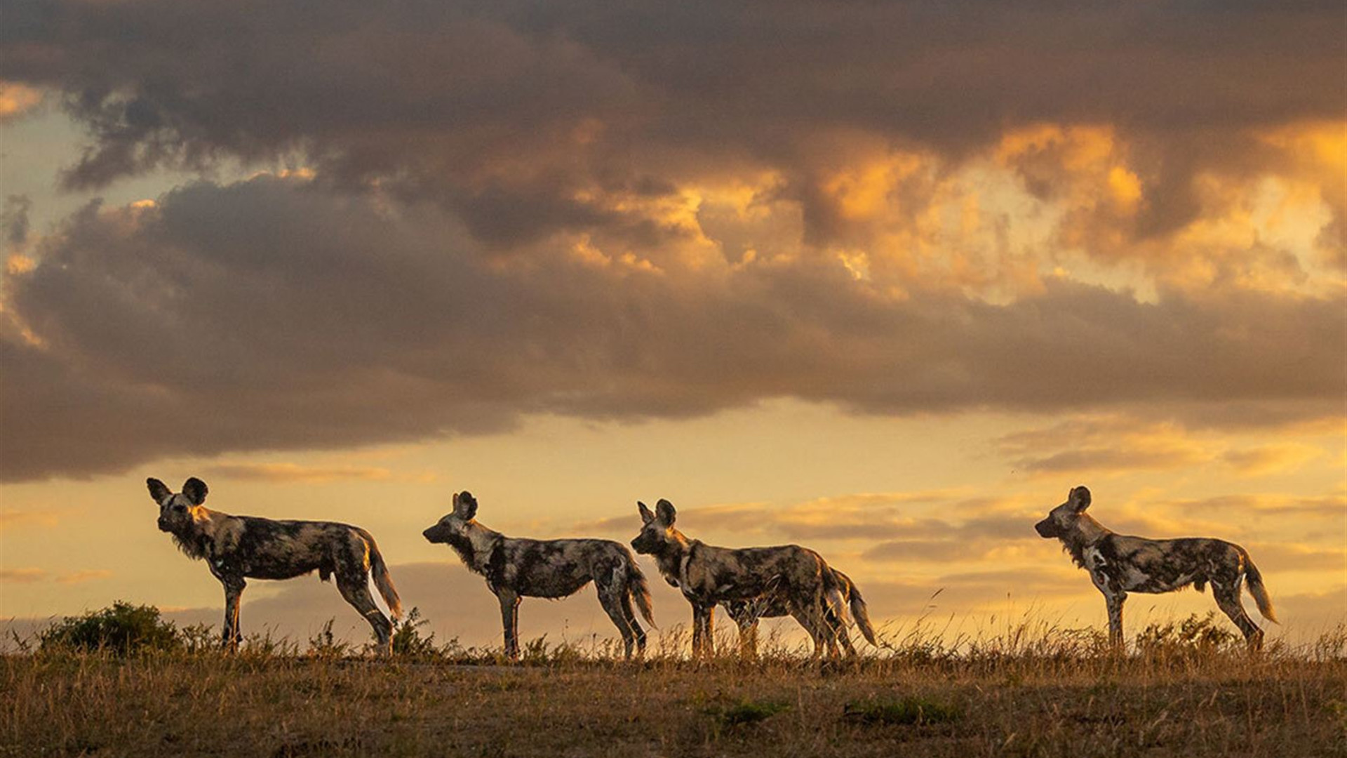 Southern Africa Adventure