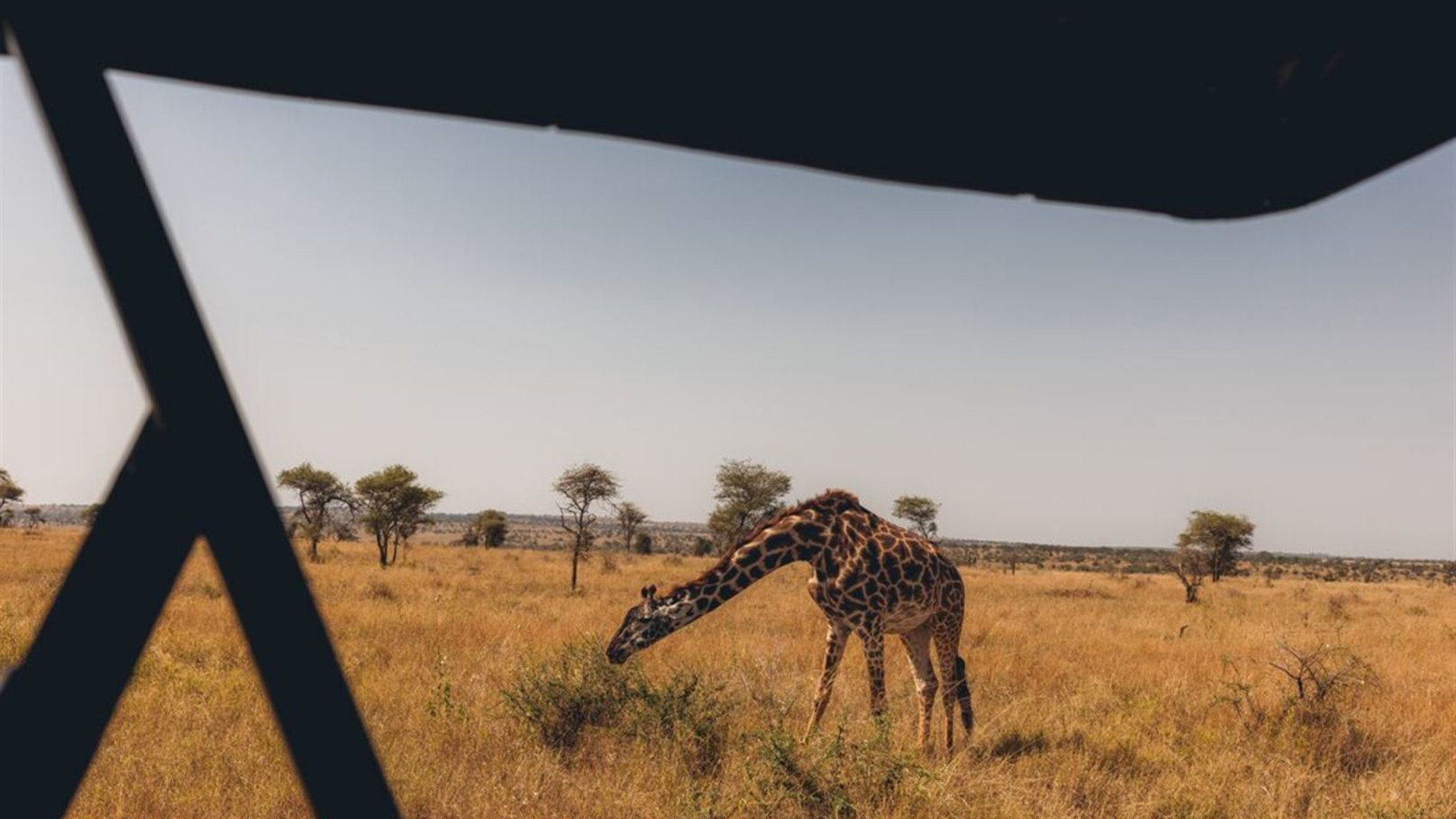 Nairobi to Stone Town