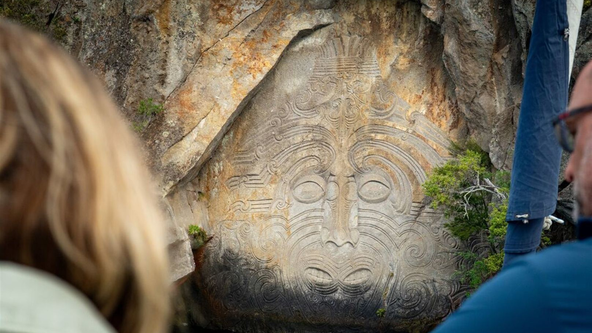 New Zealand North to South Island Adventure