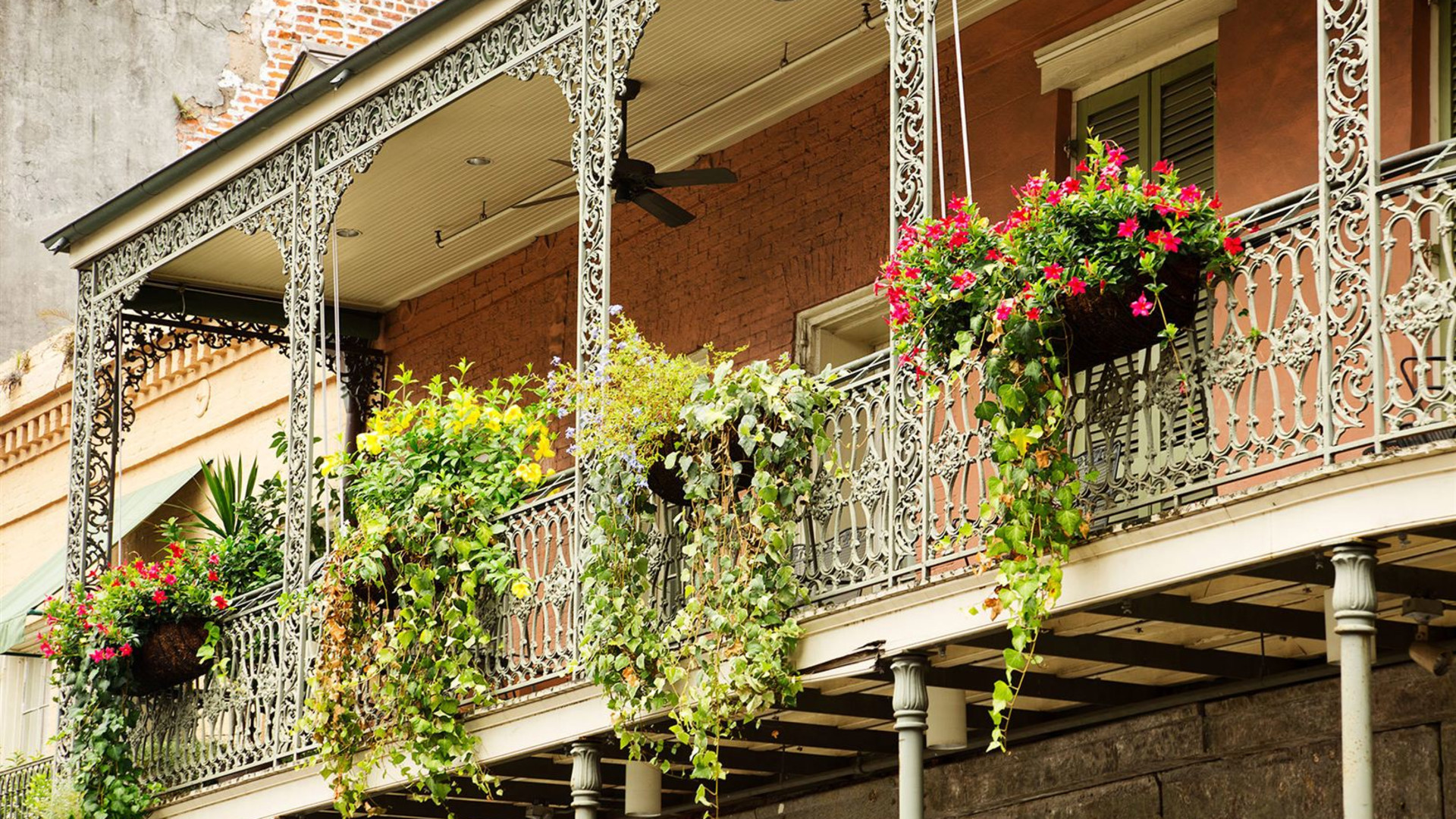 Soul of the Deep South, a Women-Only Tour