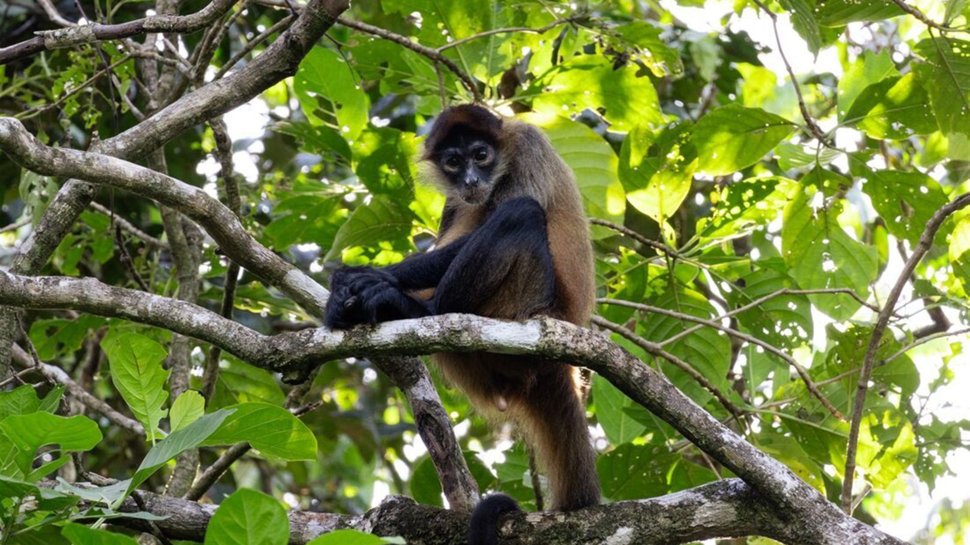 Best of Costa Rica Family Holiday