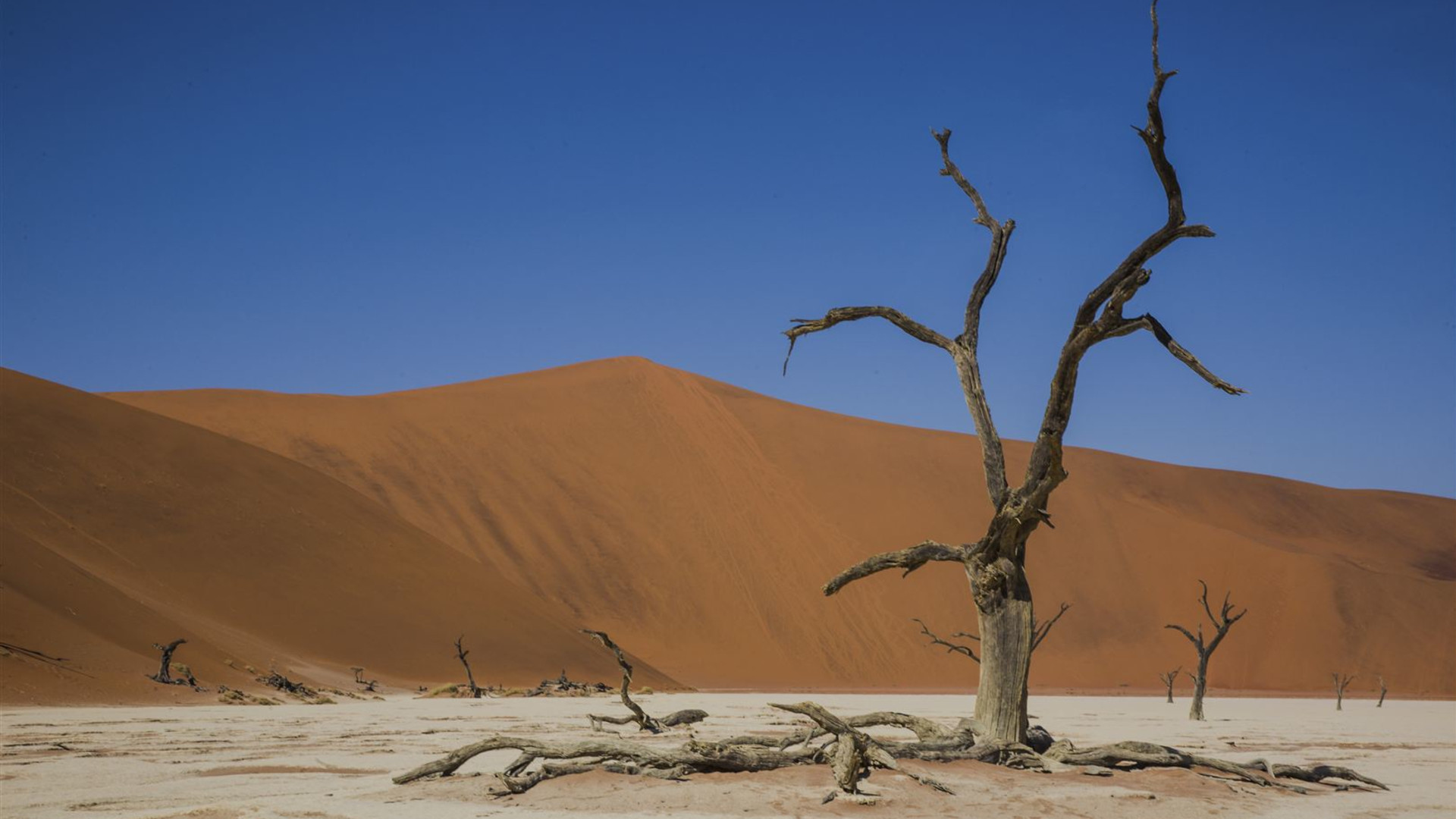 Journeys: Highlights im Süden Afrikas