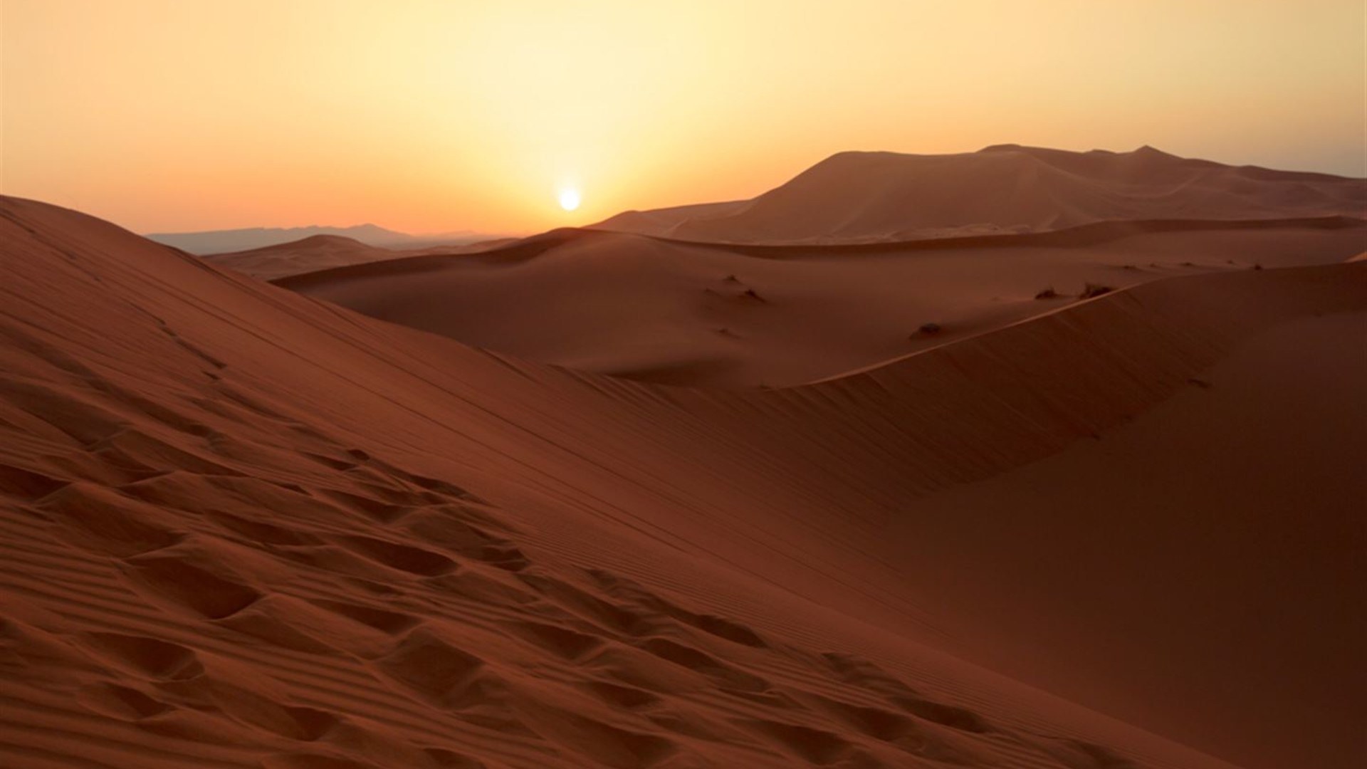 Signature: Morocco's Fes, Marrakech & the Sahara Desert