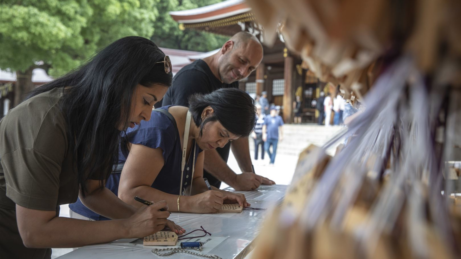 Absolute Active Japan