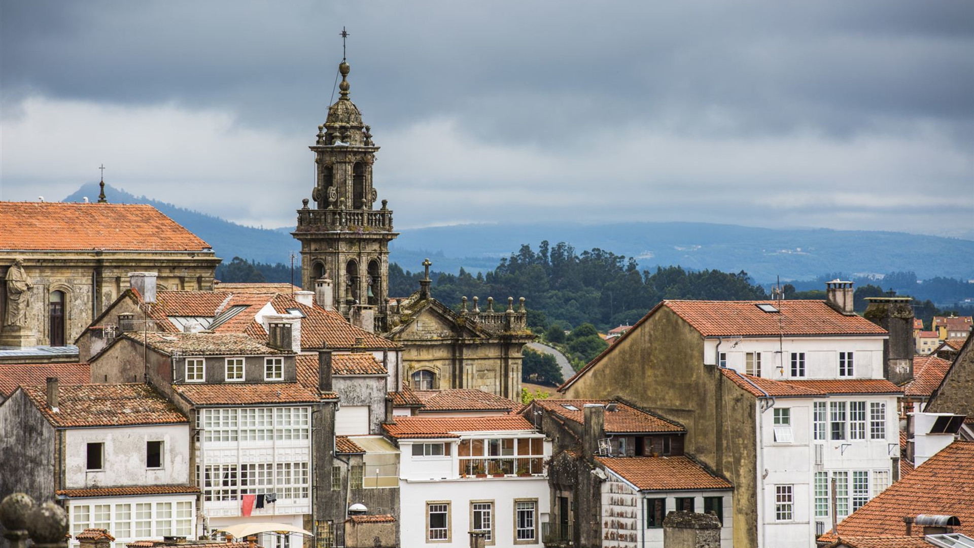 Walk the Camino de Santiago