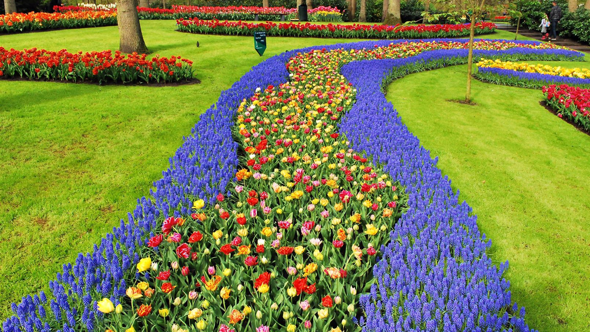 Holland and Belgium Springtime River Cruise