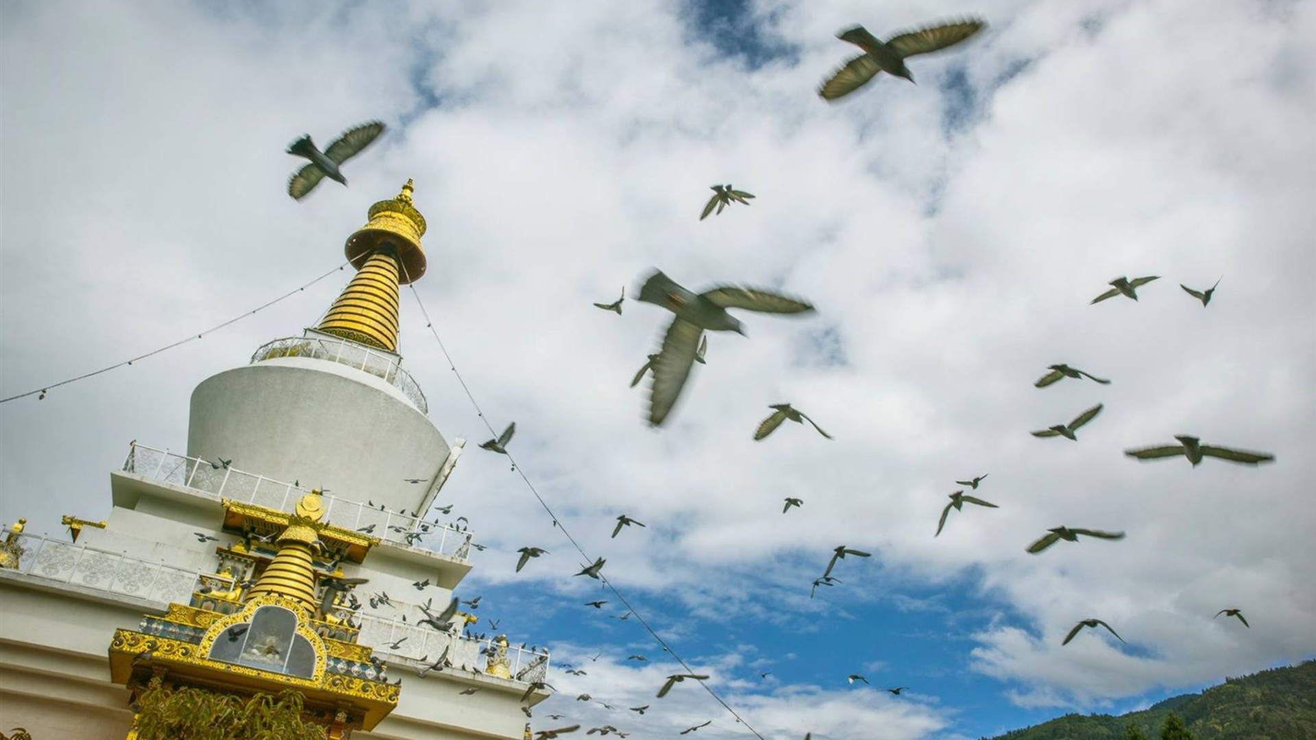 Camp the Trans Bhutan Trail