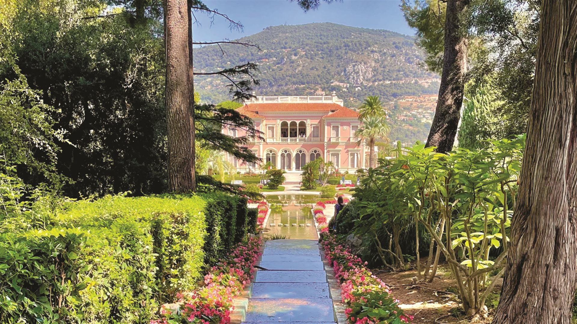 Spotlight on the French Riviera