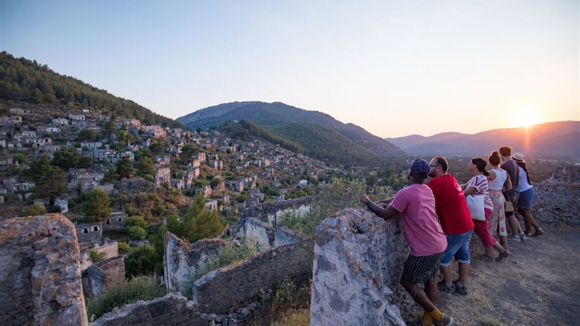 Premium Turkey in Depth