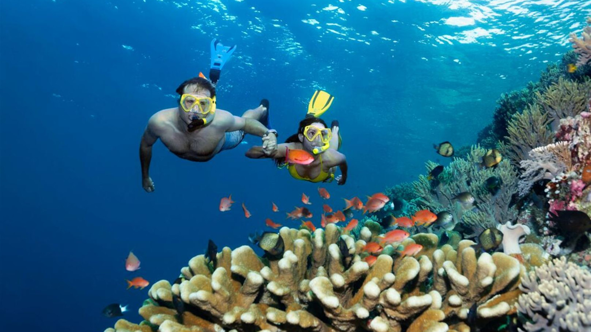 Melbourne to Cairns Adventure