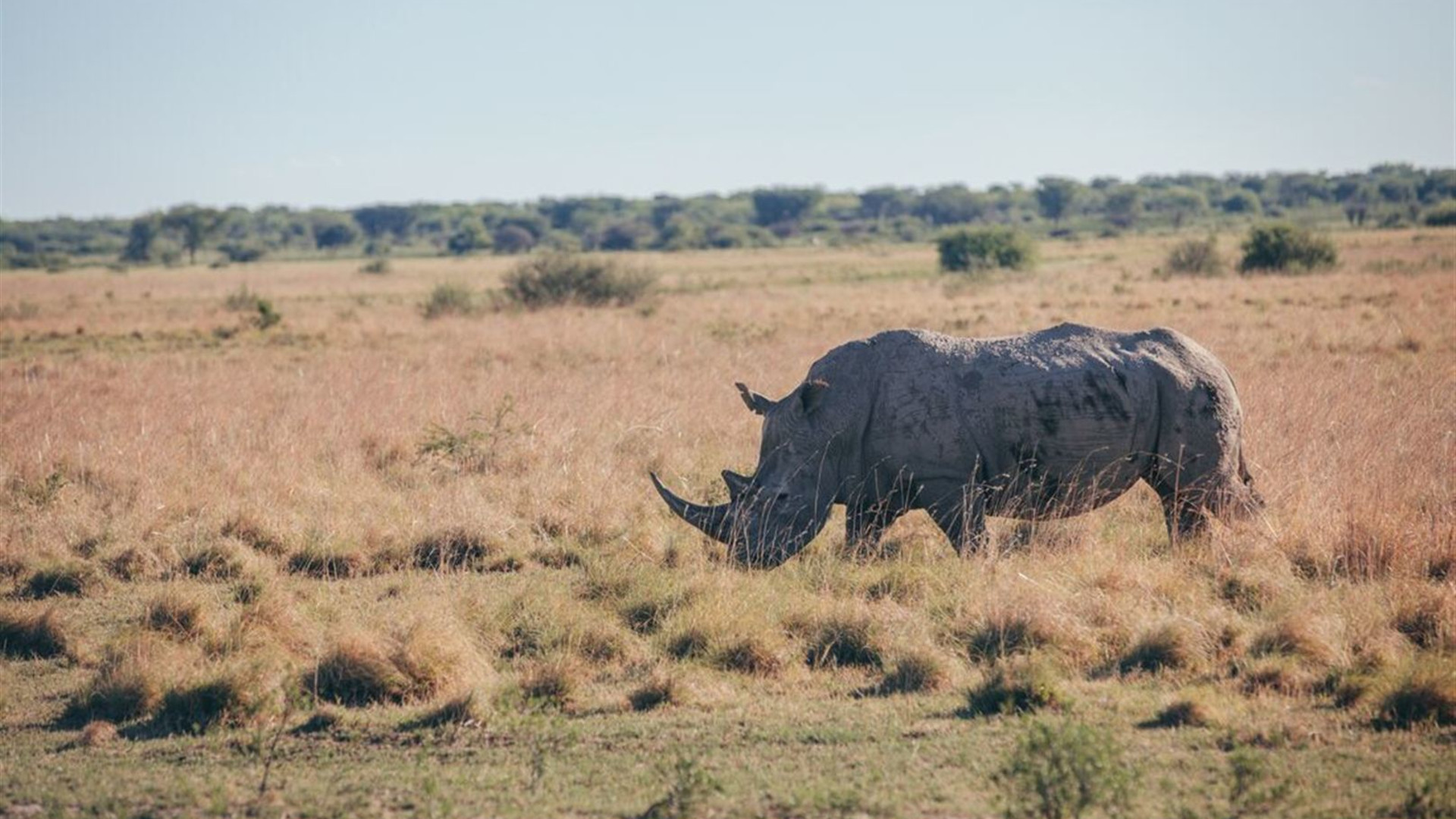 Experience Southern Africa