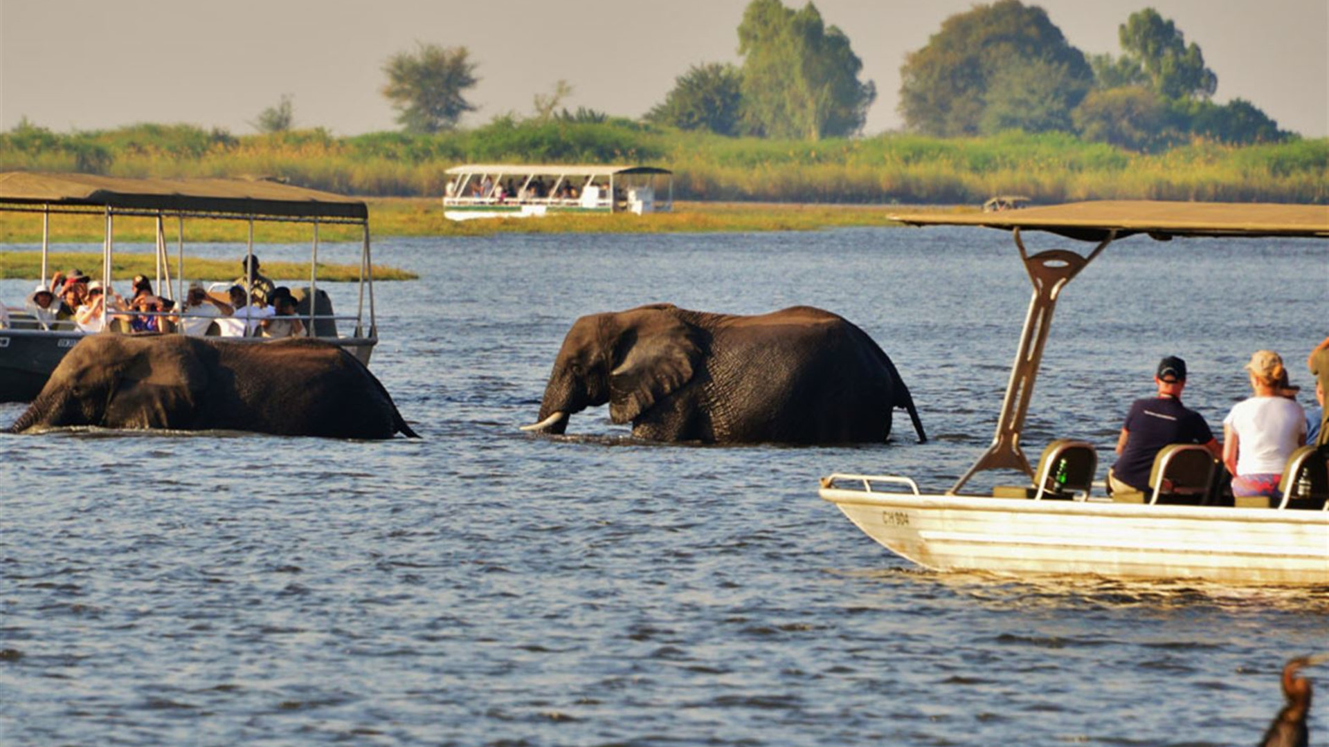 Wilderness of Southern Africa