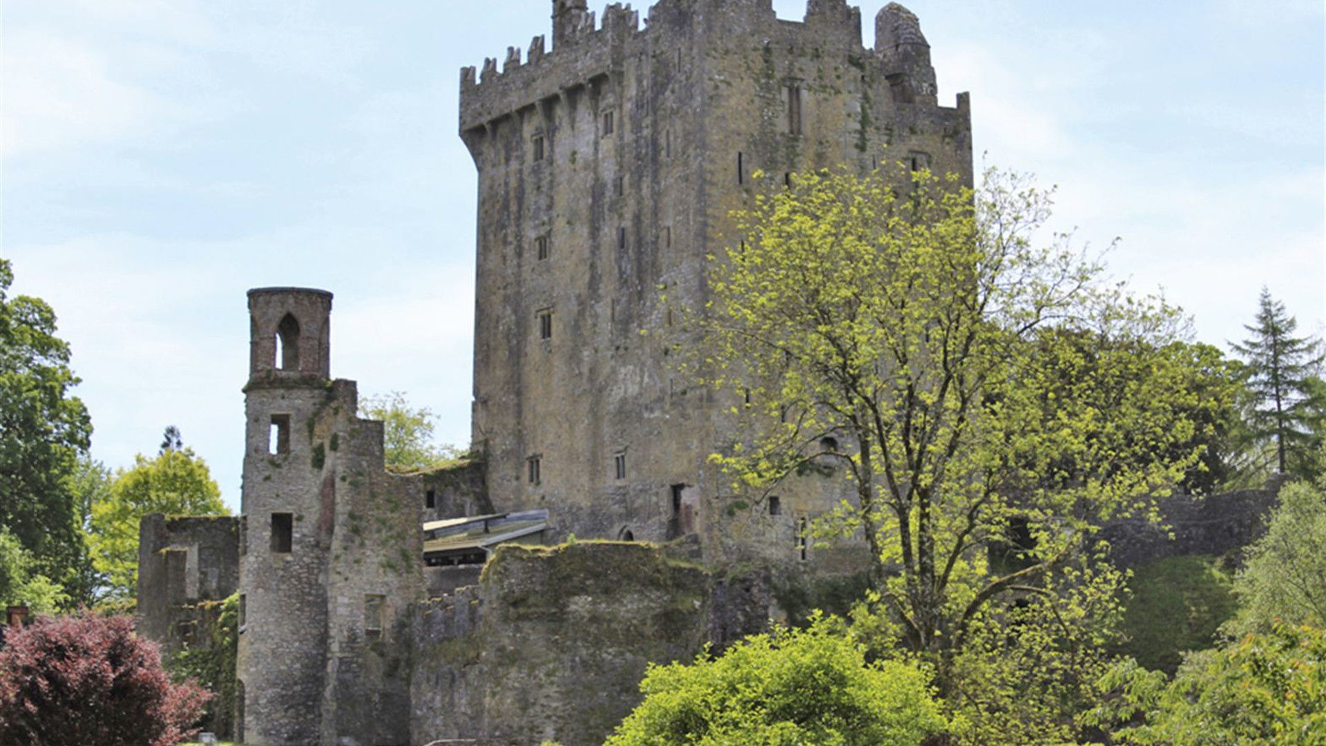 Irish Splendor