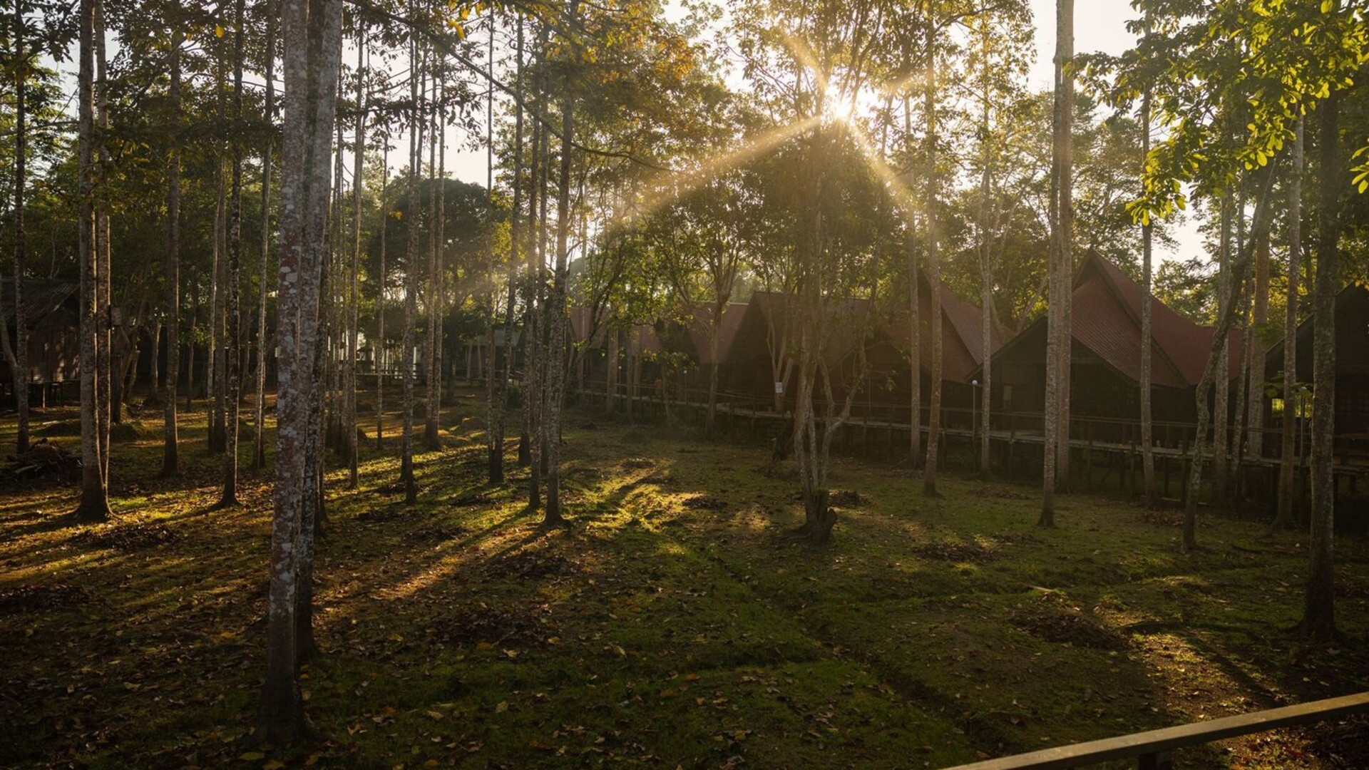 Borneo Family Holiday Comfort