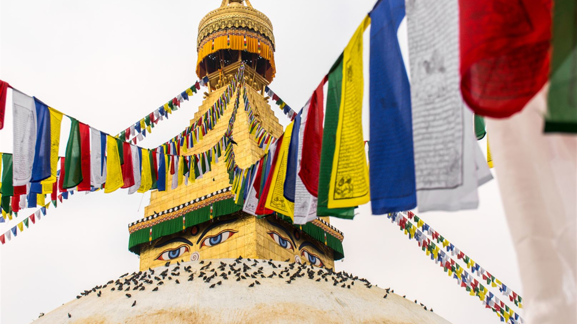 Essential Nepal