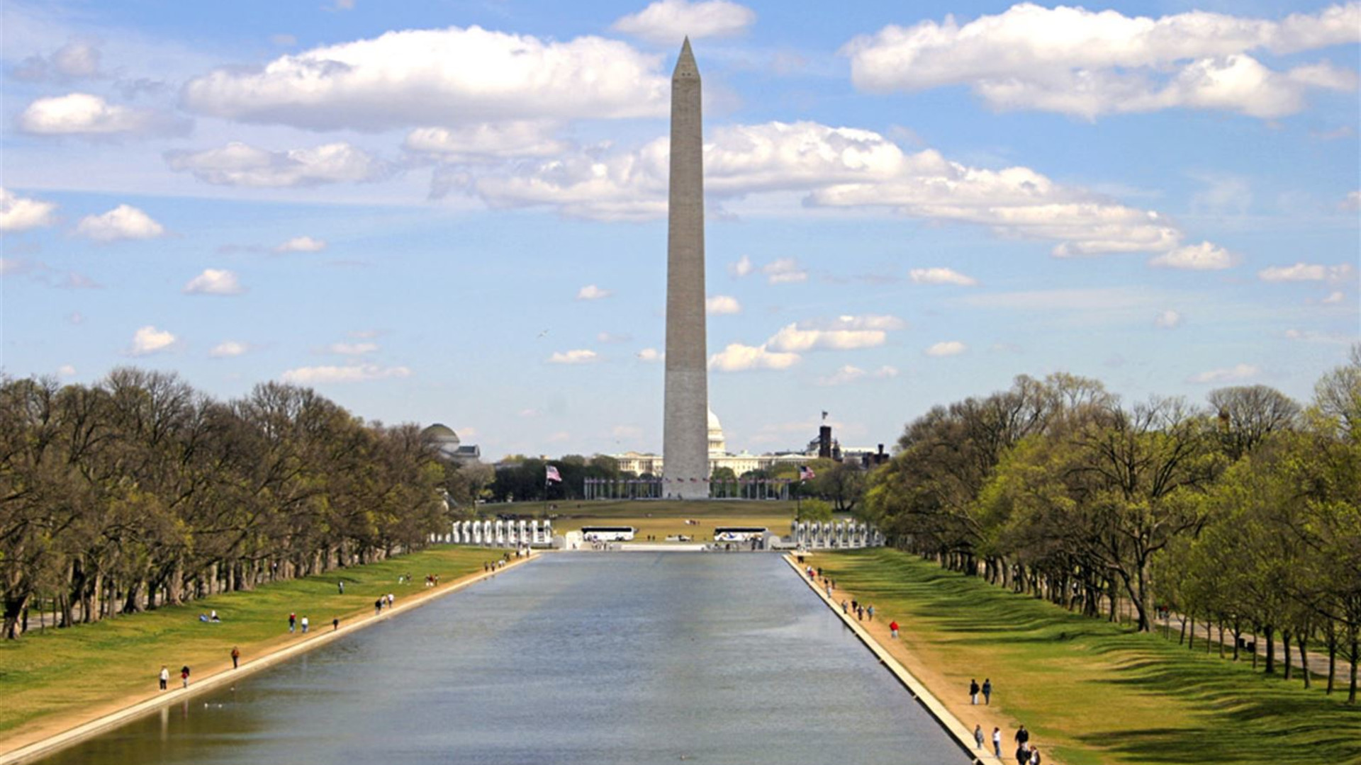 Spotlight on Washington, D.C.