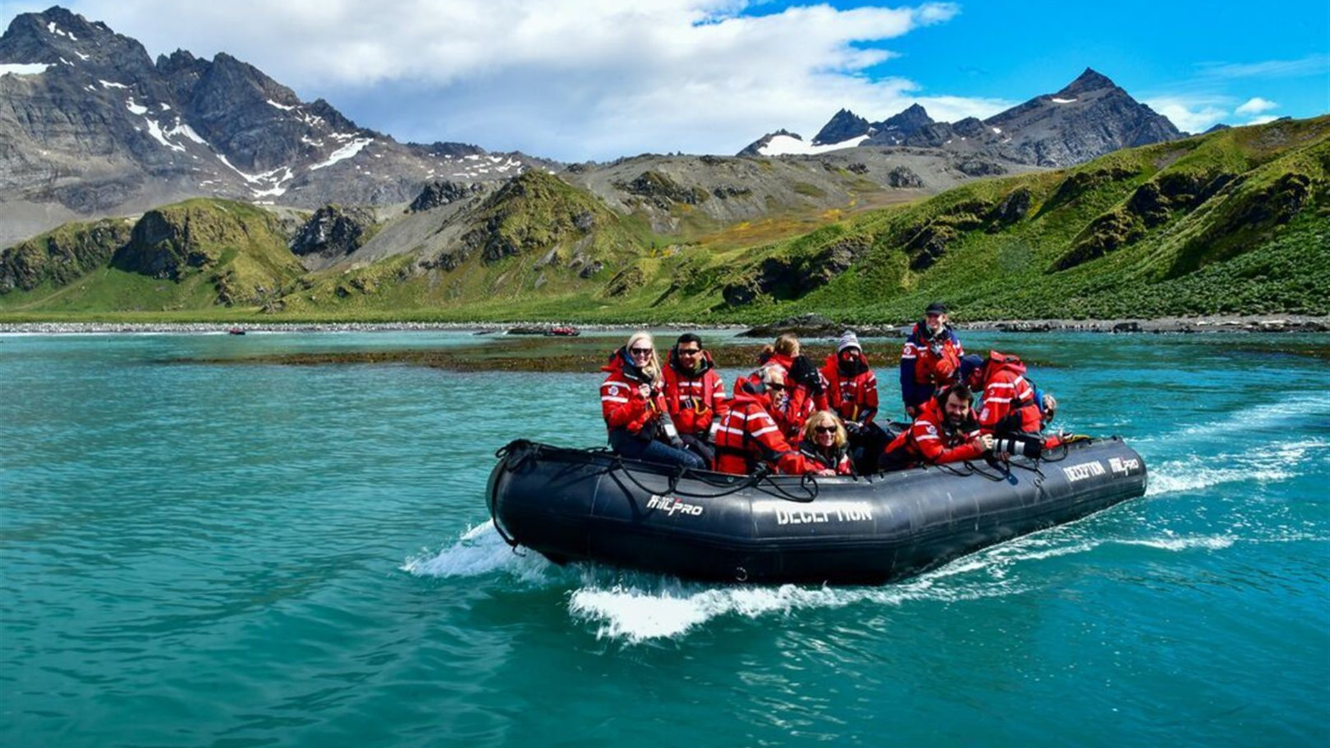 Falkland Islands, South Georgia & Antarctica (Ocean Victory)