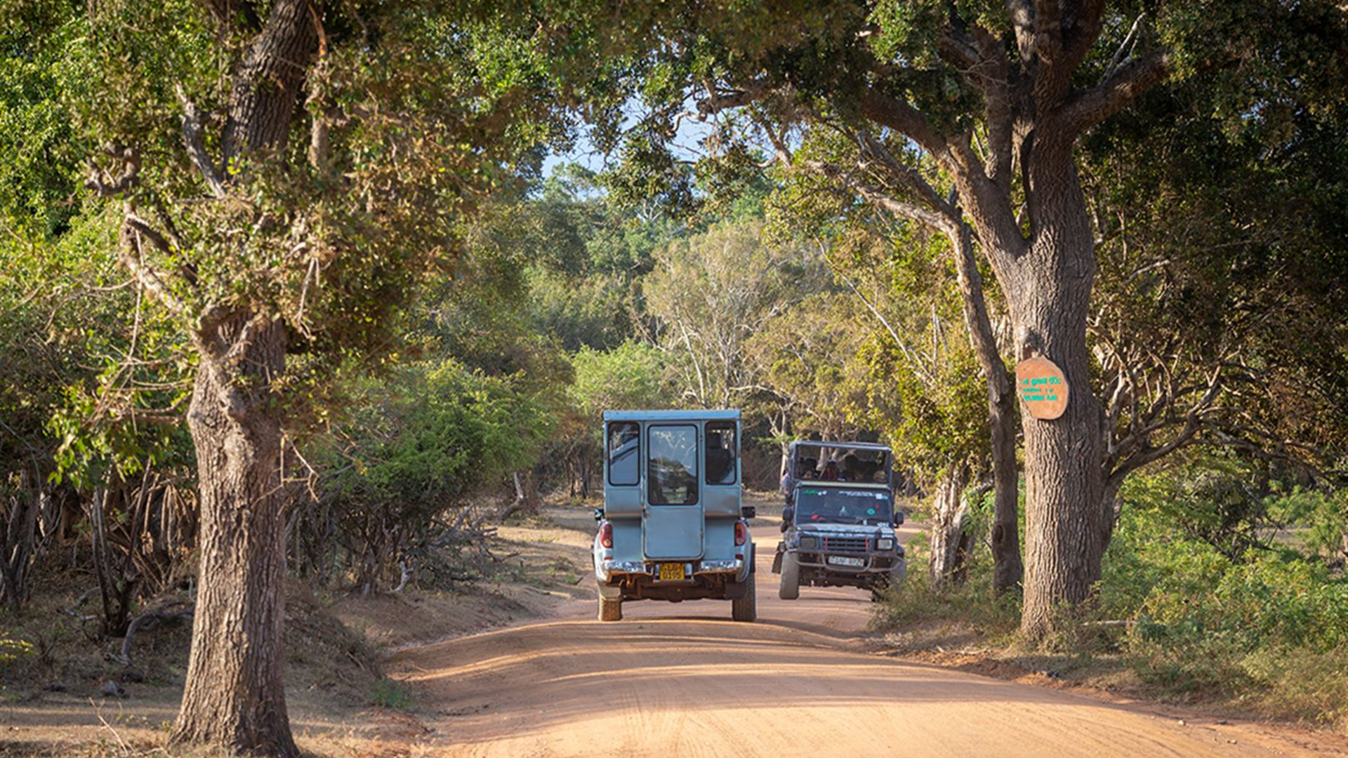 Sri Lanka Safari