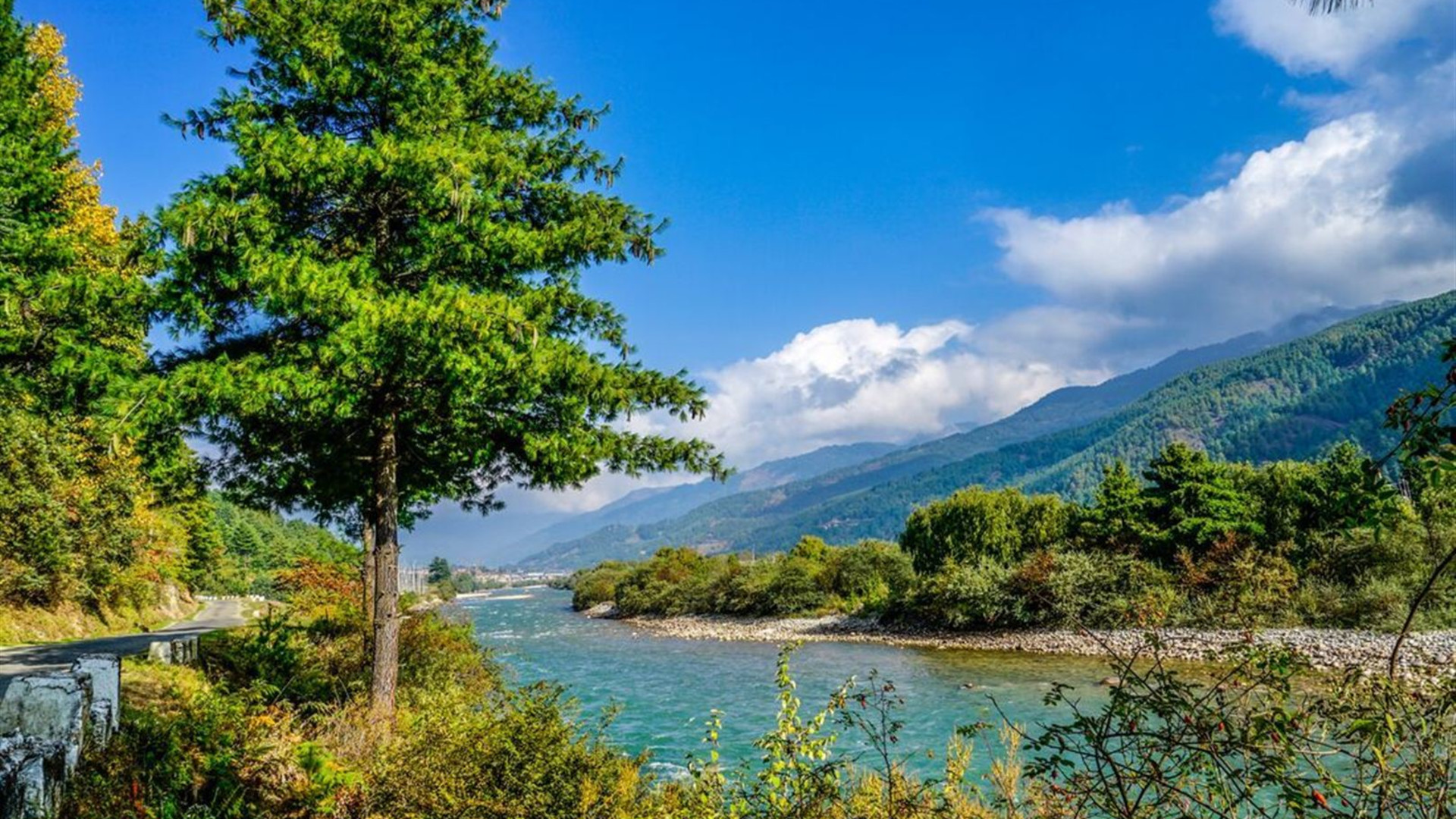 Bhutan: Women's Expedition